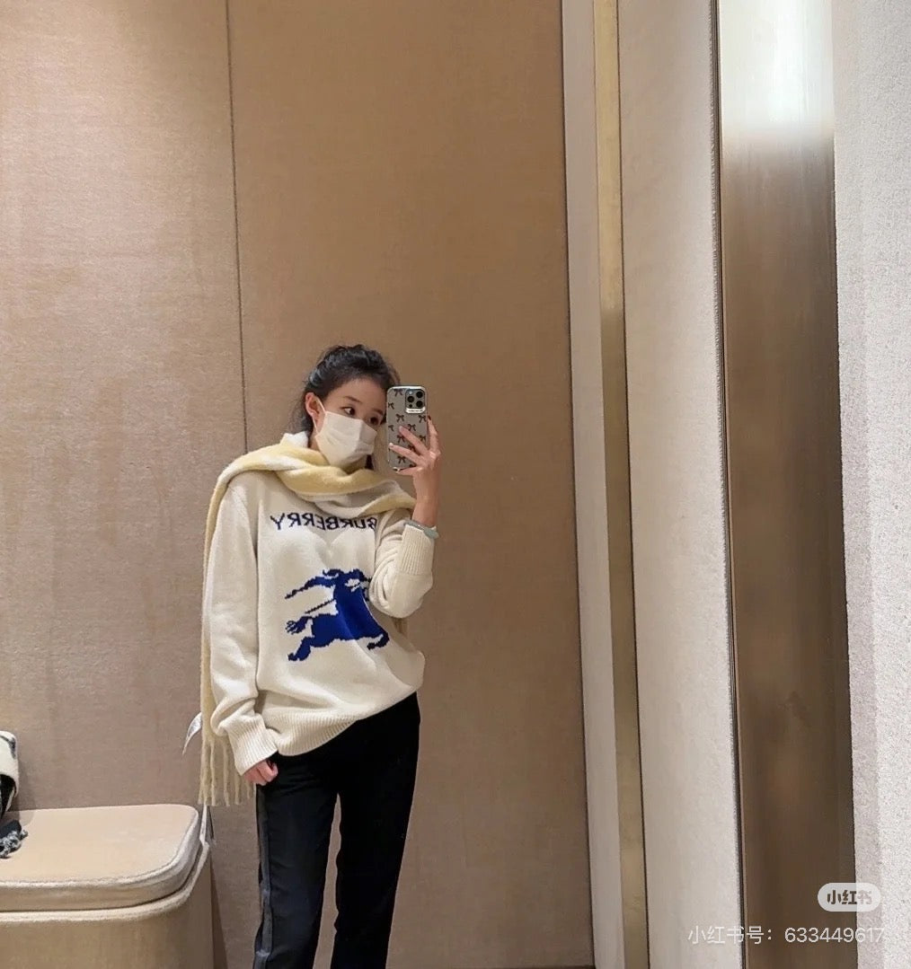 LuxluxHouse Best Quality Clothes Burberry Hoodie & Sweater