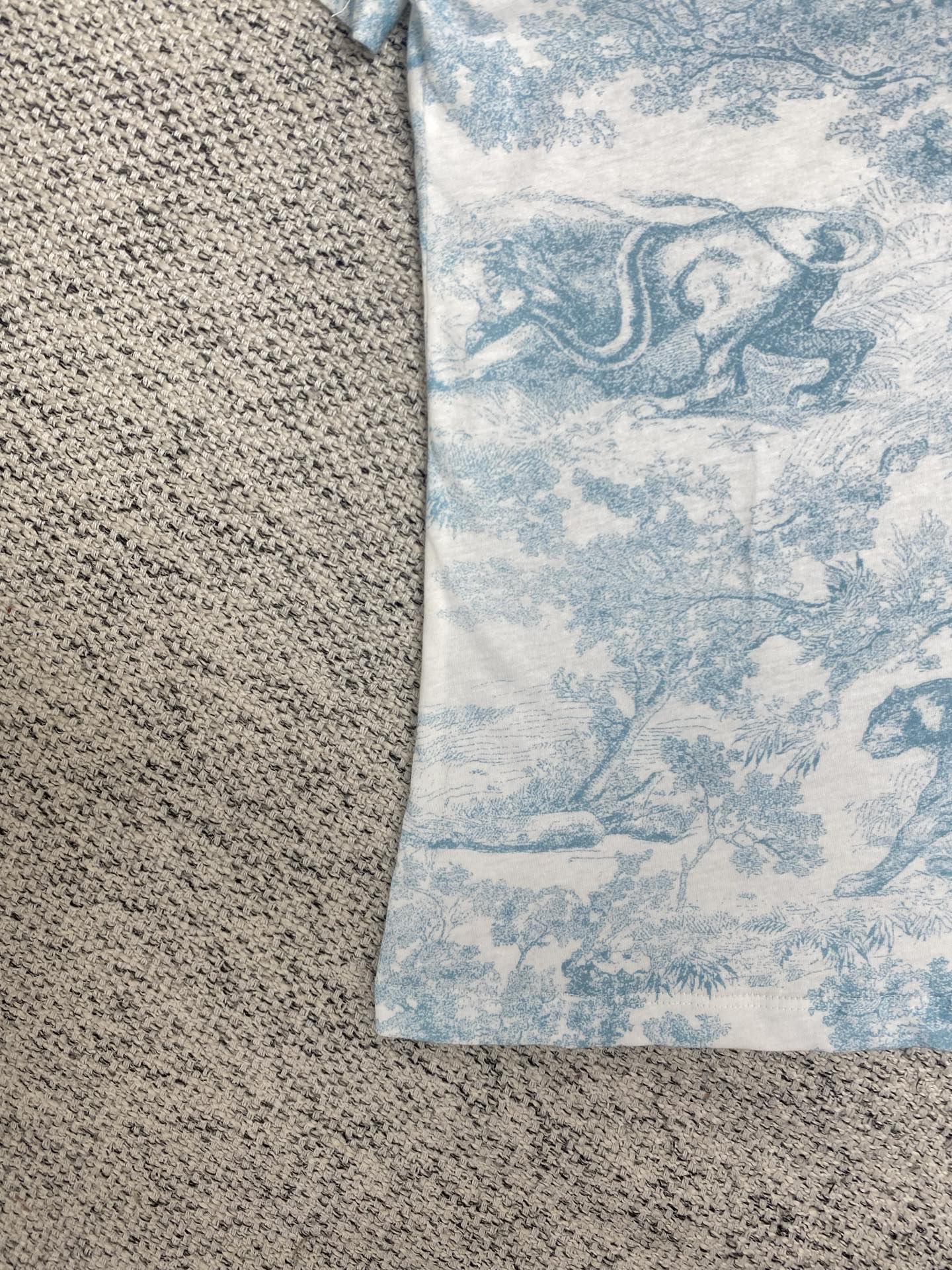 LuxluxHouse Best Quality Clothes T-shirt Dior