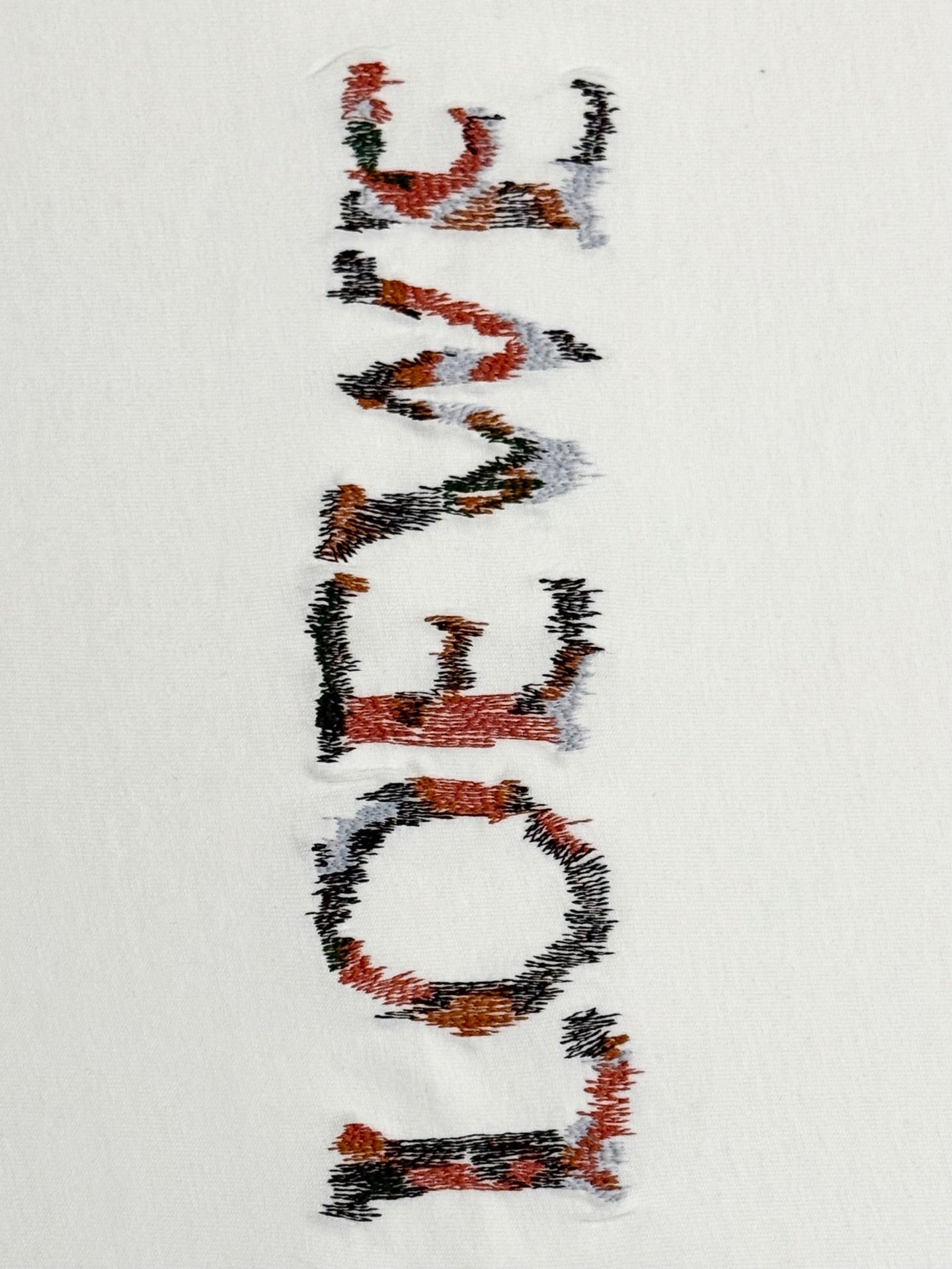 LuxluxHouse Best Quality Clothes T-shirt Loewe