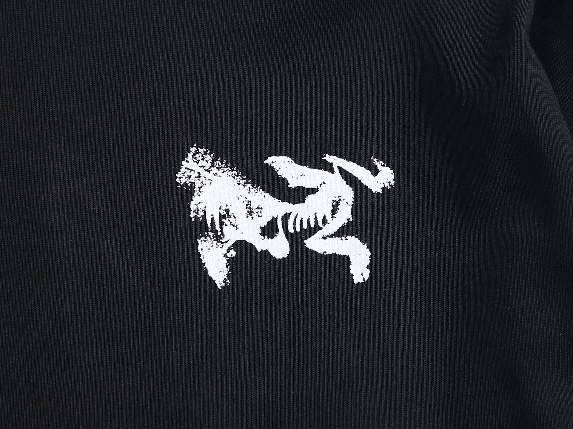 LuxluxHouse Best Quality Clothes T-shirt Arcteryx