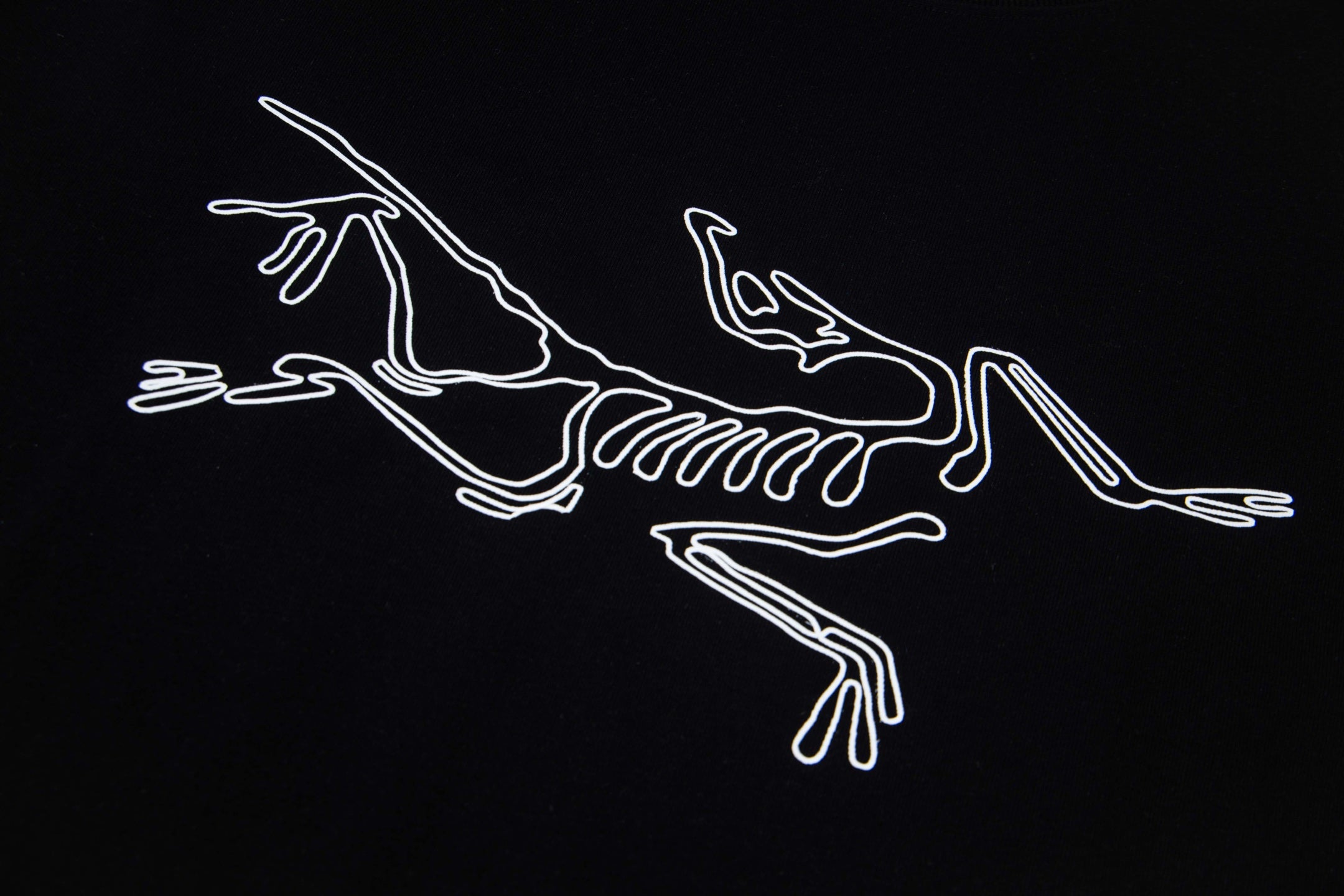 LuxluxHouse Best Quality Clothes T-shirt Arcteryx