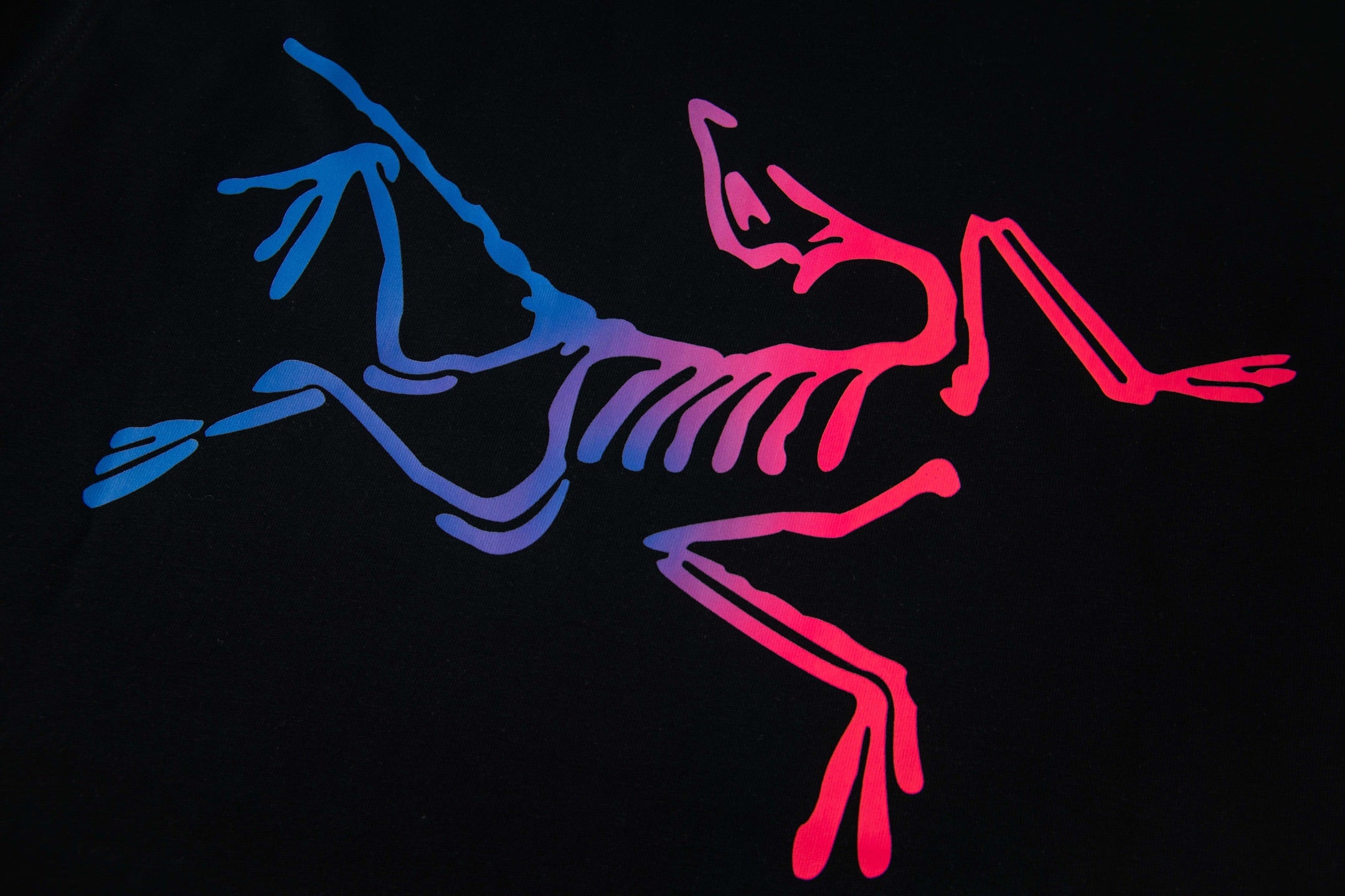 LuxluxHouse Best Quality Clothes T-shirt Arcteryx