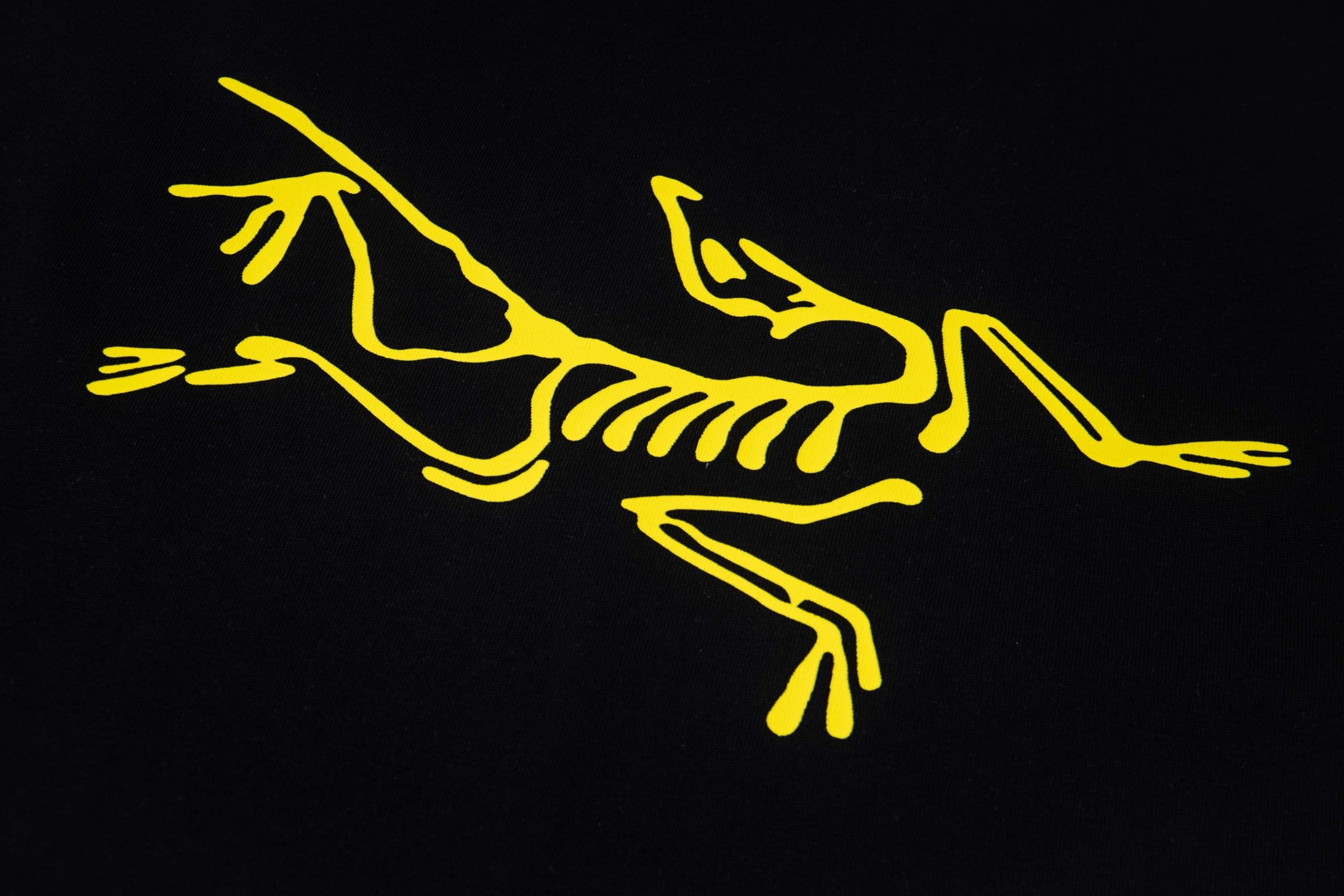 LuxluxHouse Best Quality Clothes T-shirt Arcteryx