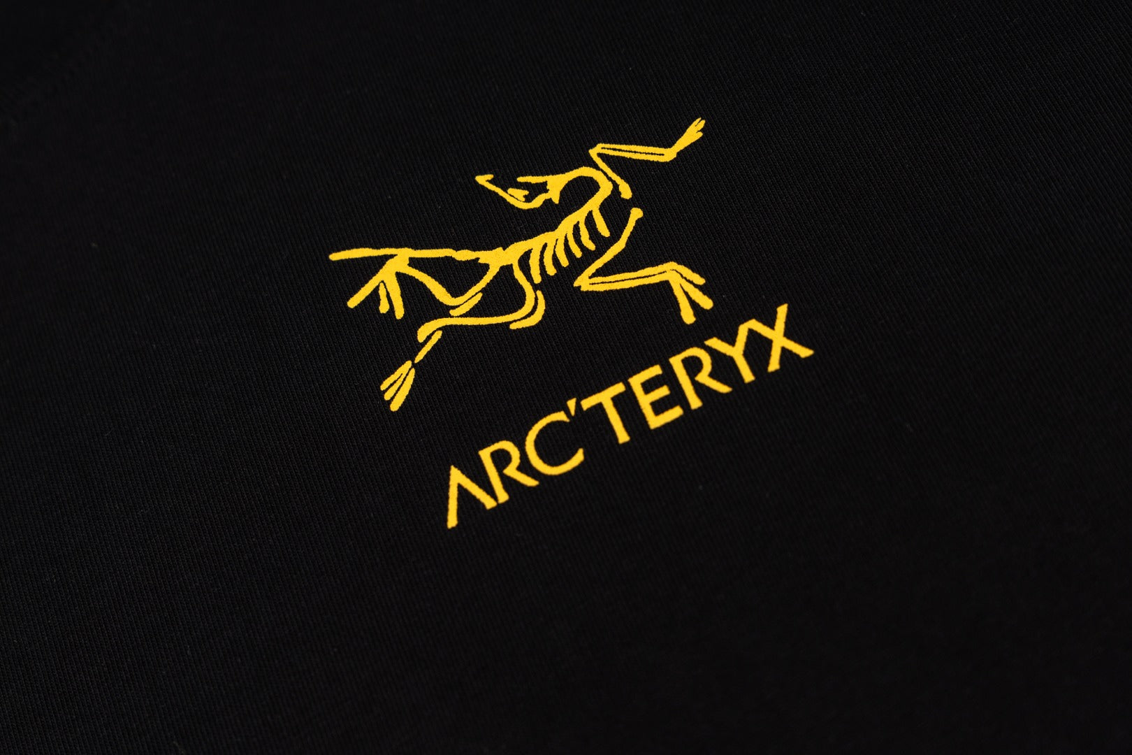 LuxluxHouse Best Quality Clothes T-shirt Arcteryx