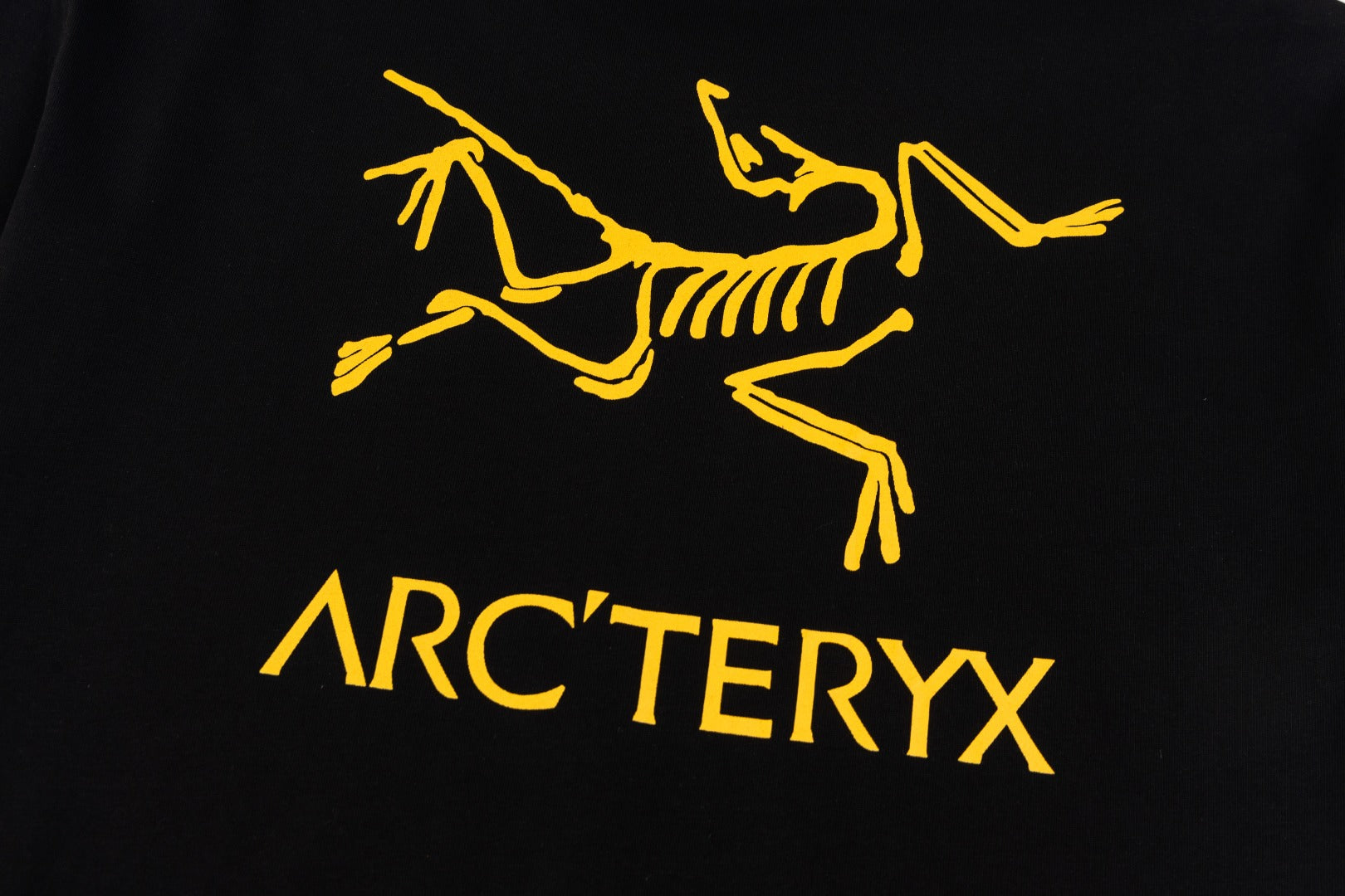 LuxluxHouse Best Quality Clothes T-shirt Arcteryx