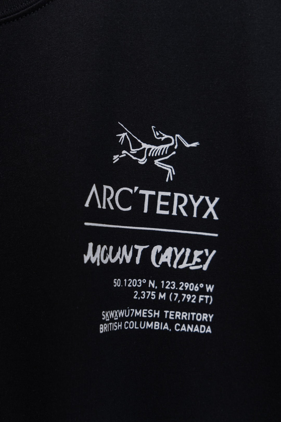 LuxluxHouse Best Quality Clothes T-shirt Arcteryx