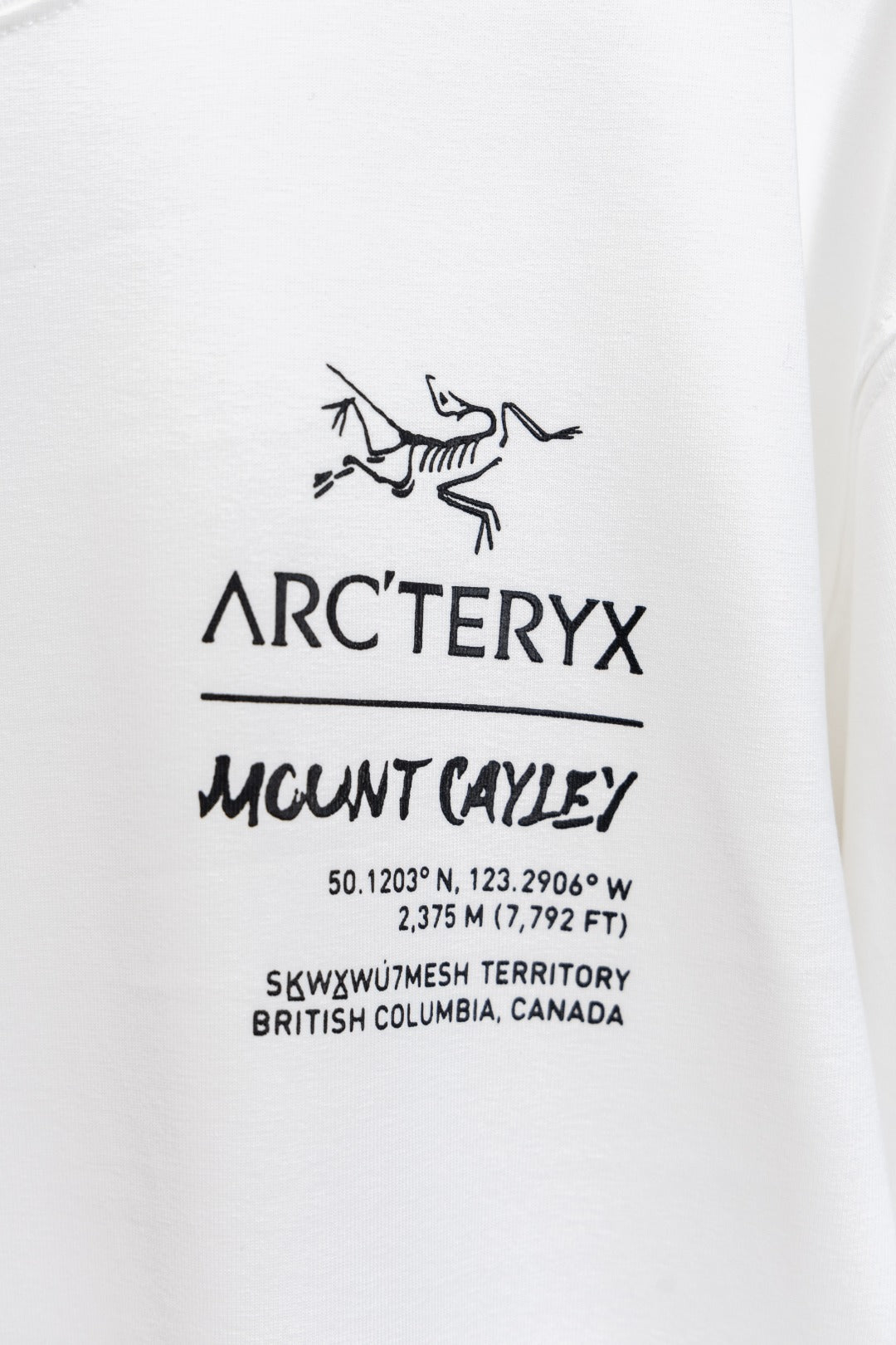 LuxluxHouse Best Quality Clothes T-shirt Arcteryx