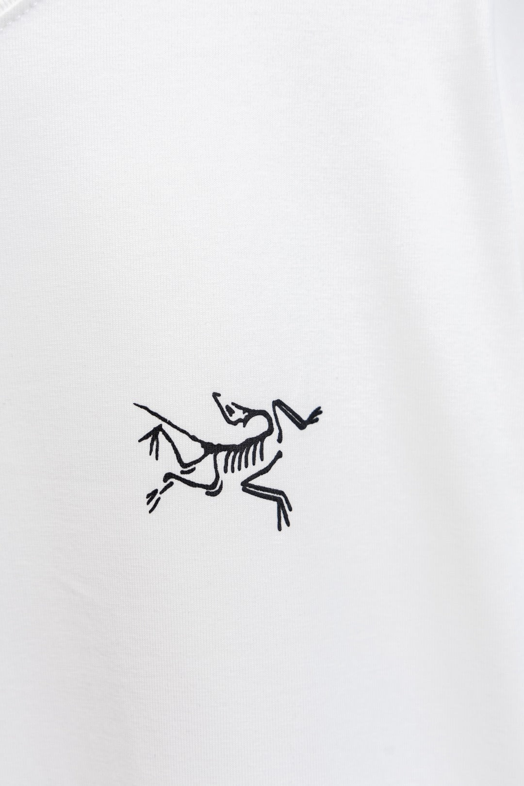 LuxluxHouse Best Quality Clothes T-shirt Arcteryx