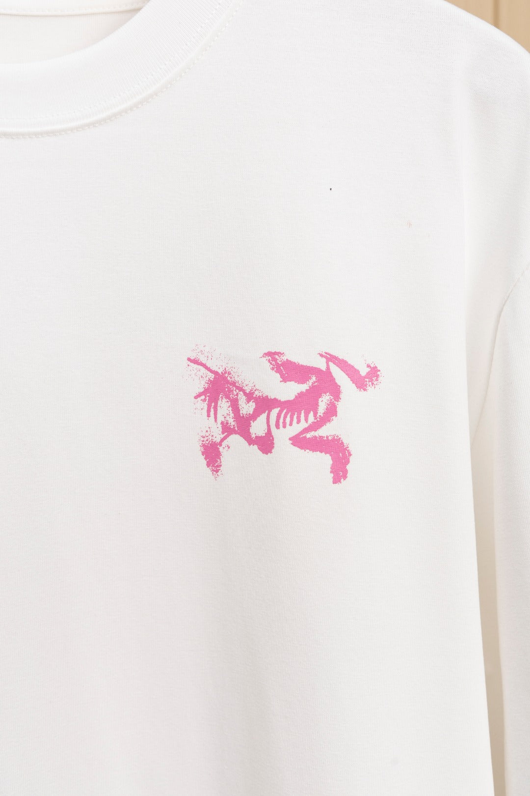 LuxluxHouse Best Quality Clothes T-shirt Arcteryx