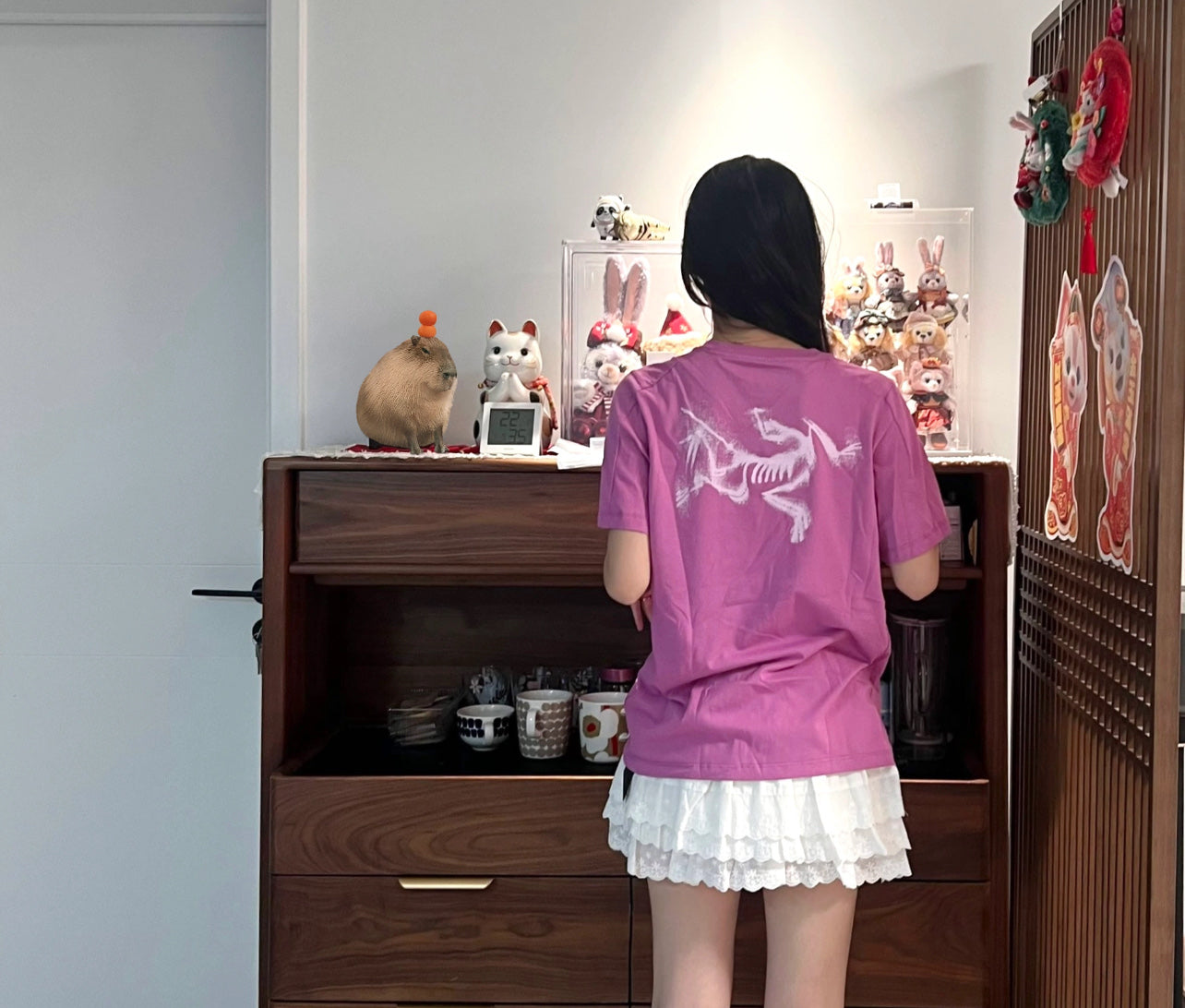 LuxluxHouse Best Quality Clothes T-shirt Arcteryx