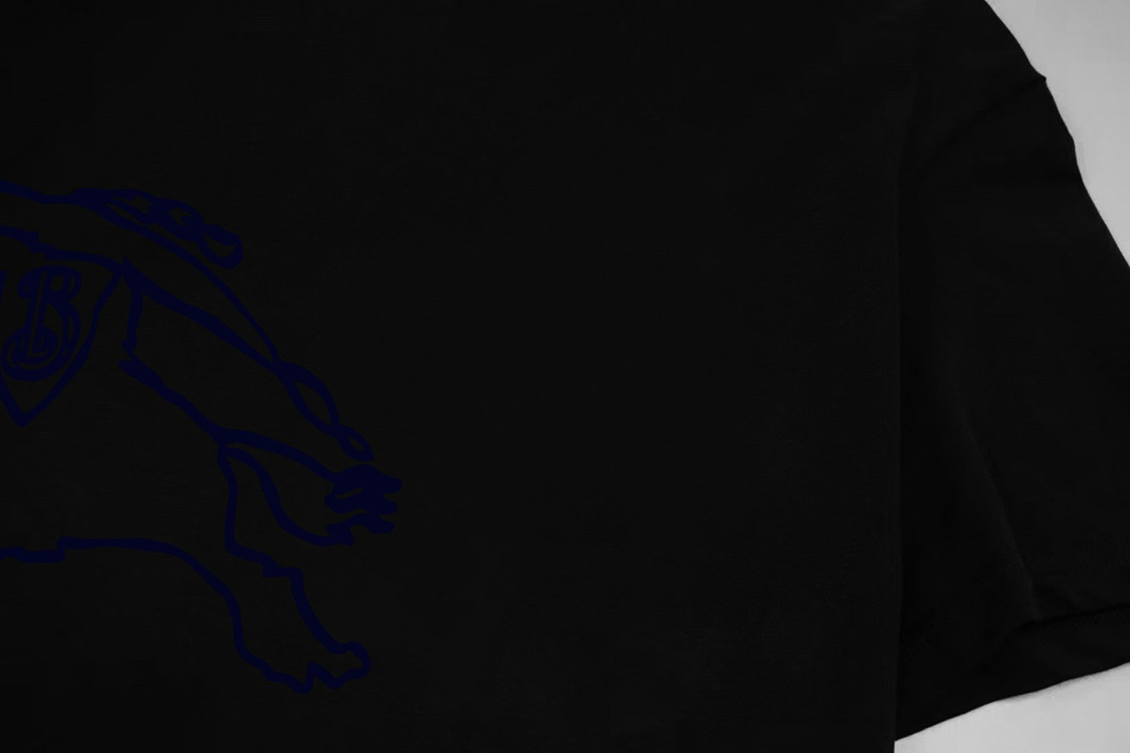 LuxluxHouse Best Quality Clothes Burberry T-shirt