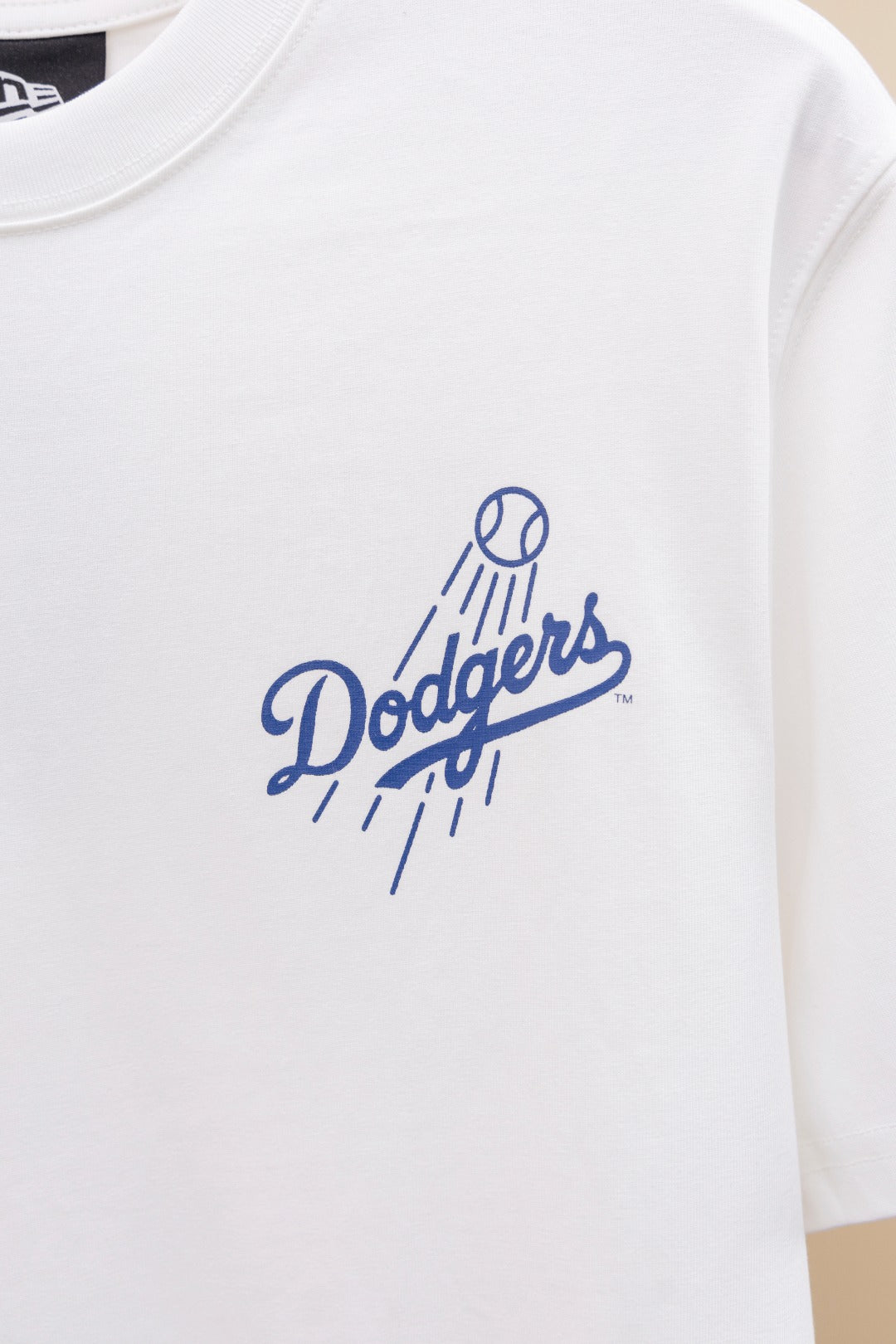 LuxluxHouse Best Quality Clothes The North Face & MLB T-shirt