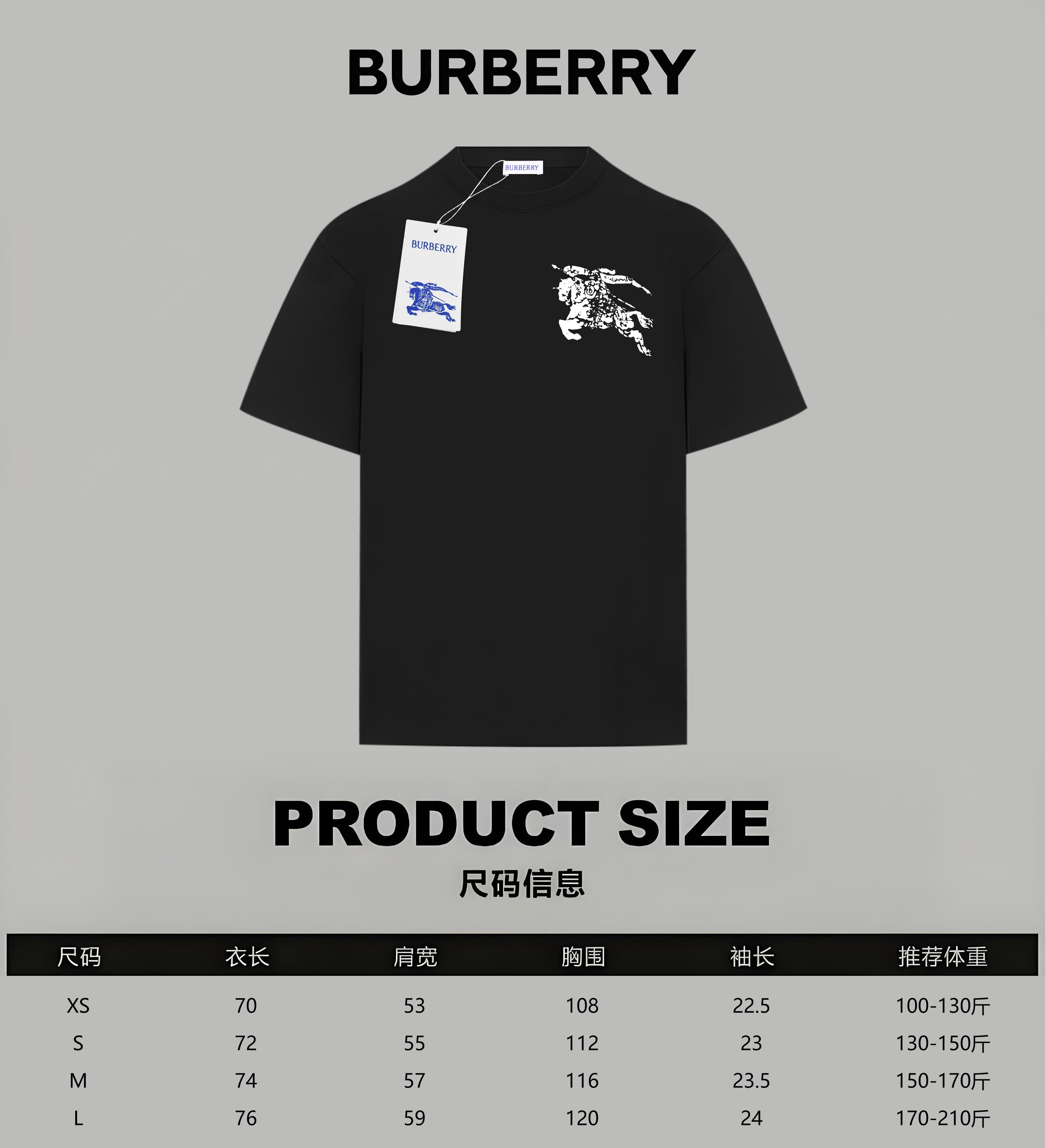 LuxluxHouse Best Quality Clothes Burberry T-shirt
