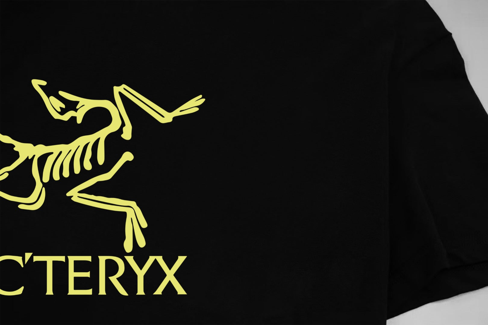 LuxluxHouse Best Quality Clothes T-shirt Arcteryx