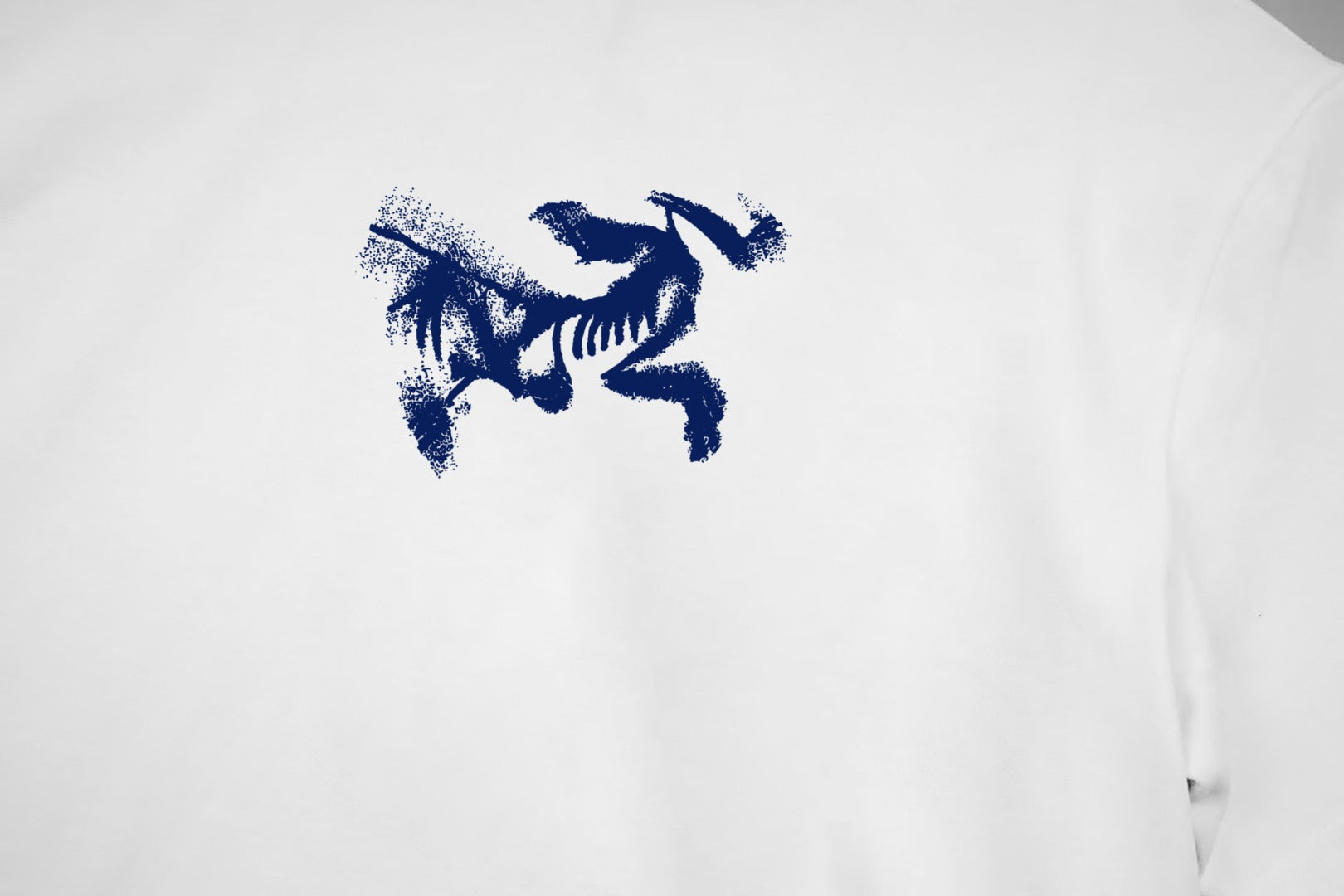 LuxluxHouse Best Quality Clothes T-shirt Arcteryx