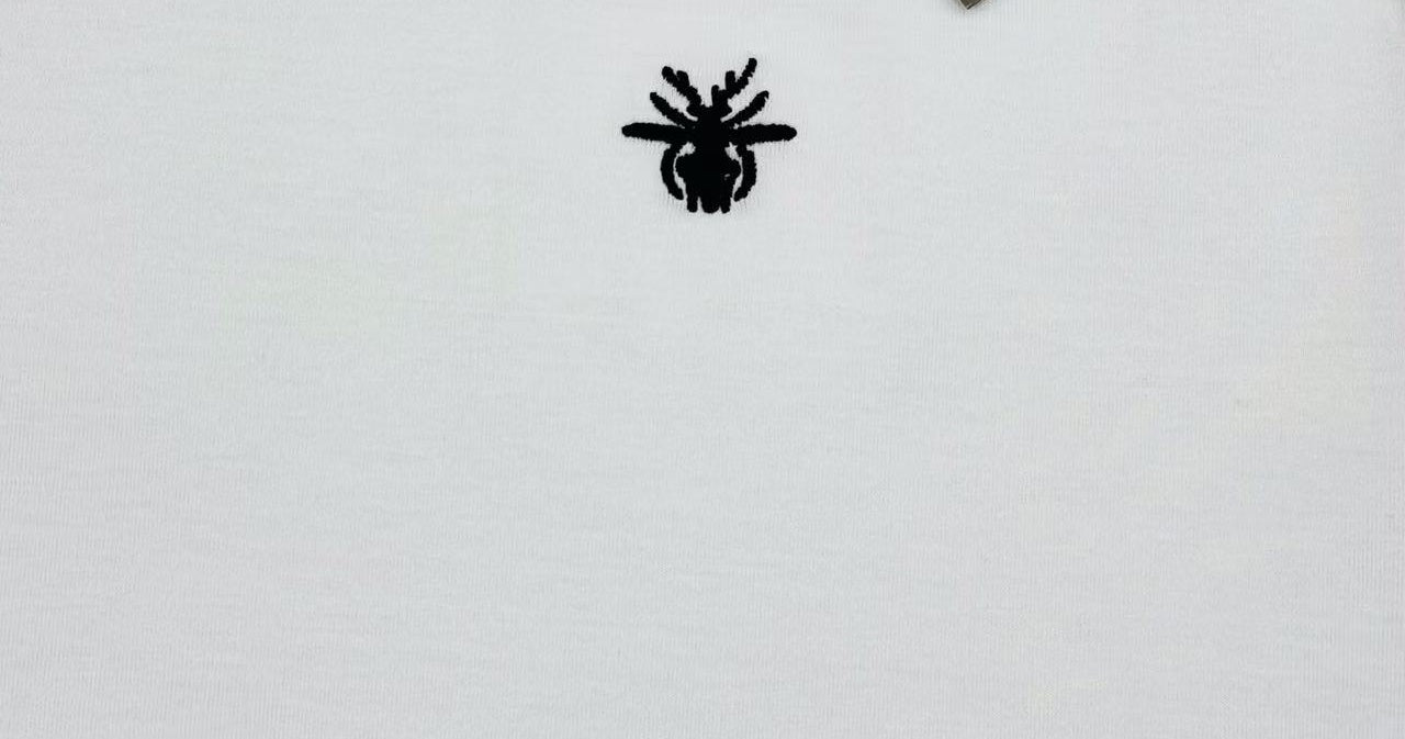 LuxluxHouse Best Quality Clothes T-shirt Dior