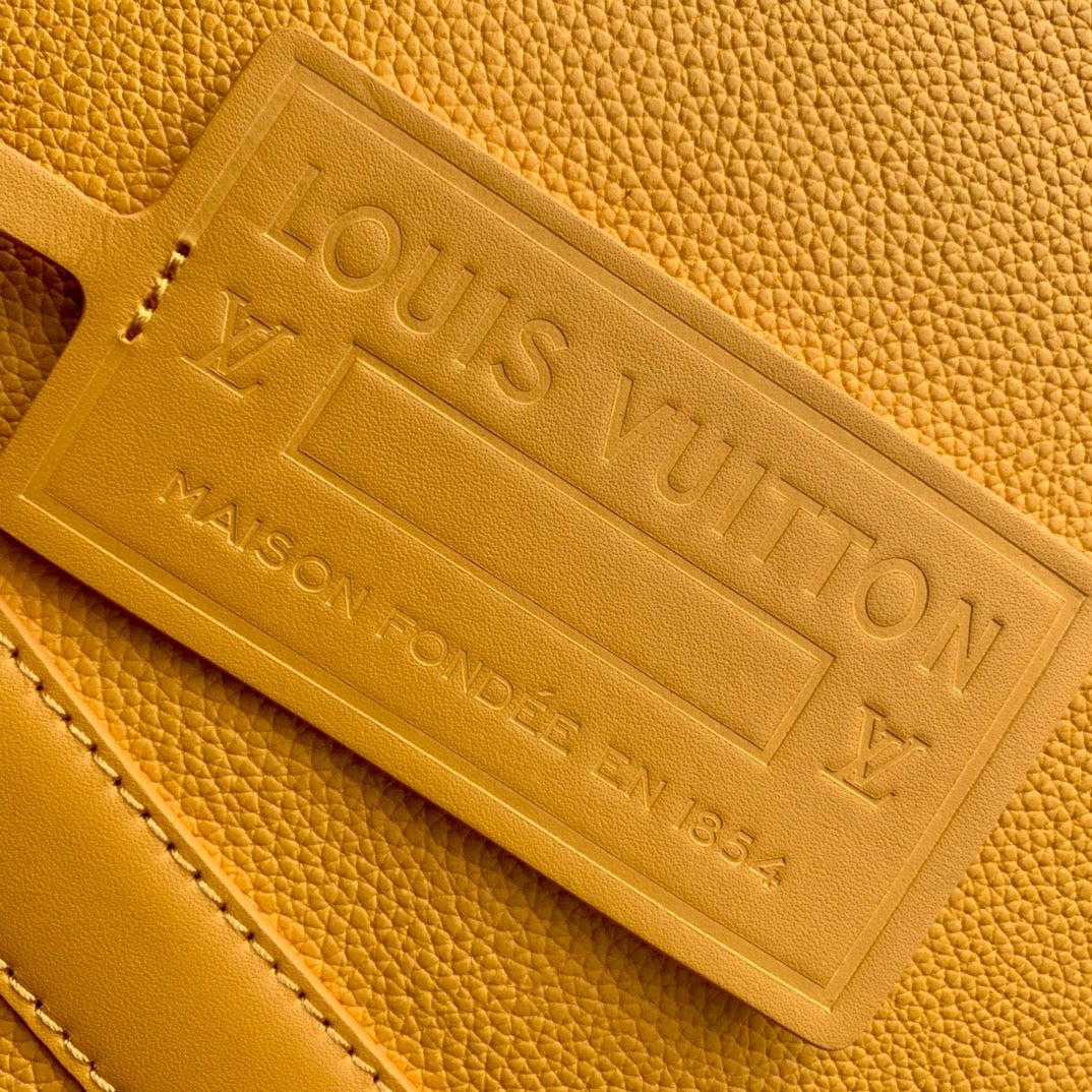 Louis Vuitton Top Bag (LuxluxHouse)