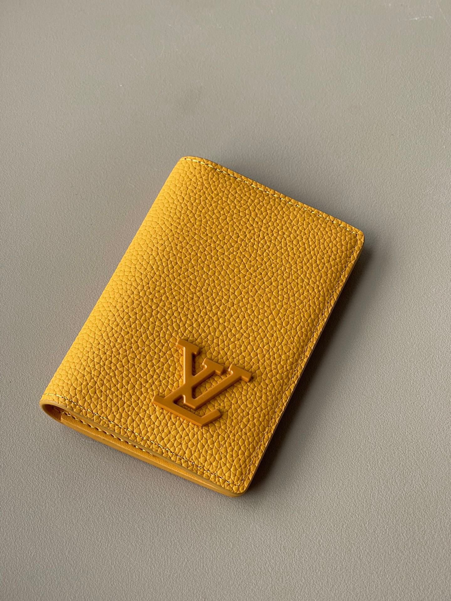 Louis Vuitton Top Bag (LuxluxHouse)