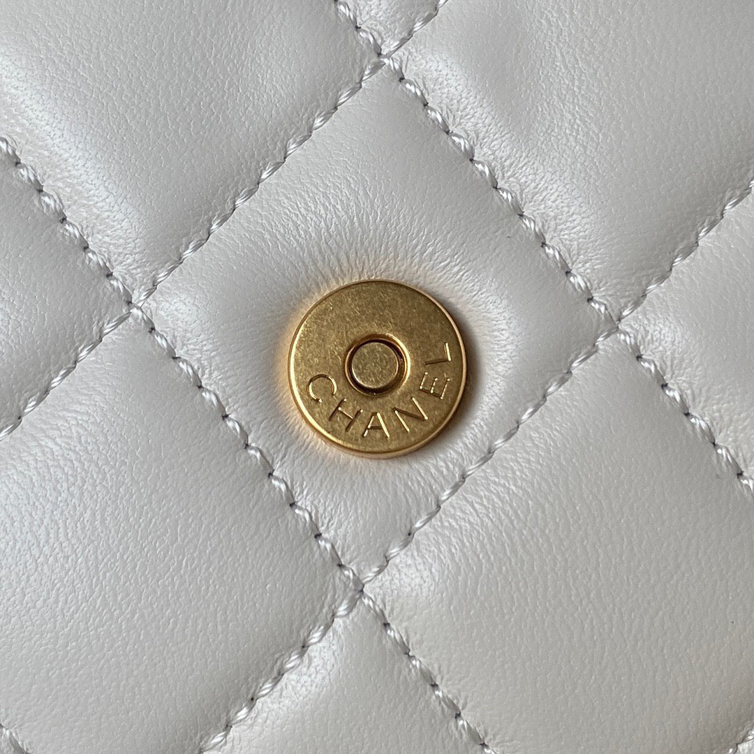 Chanel Bag Top Quality AS4611(LuxluxHouse )