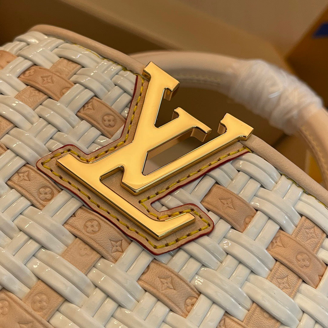 Louis Vuitton Top Bag (LuxluxHouse)