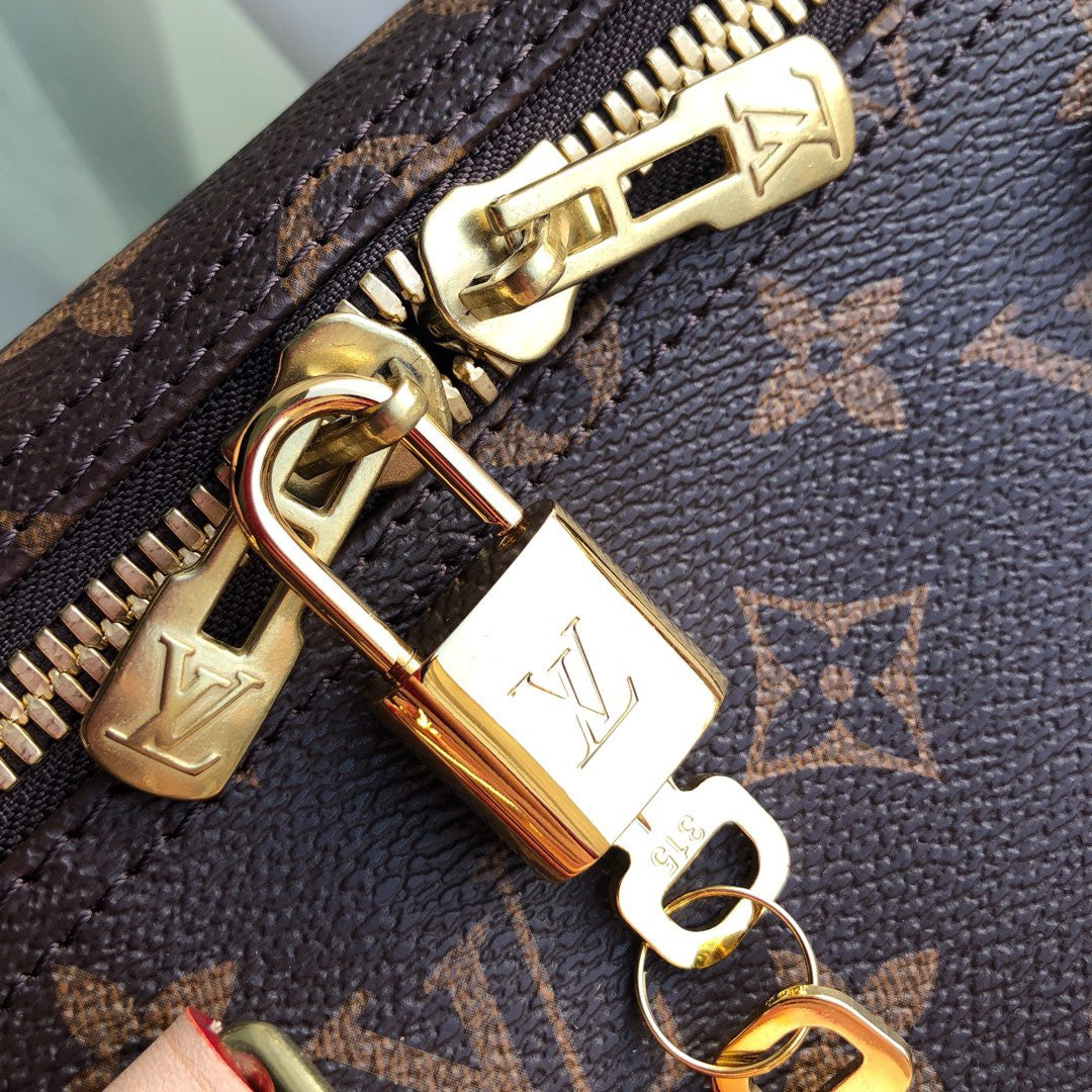 Louis Vuitton Top Bag (LuxluxHouse)