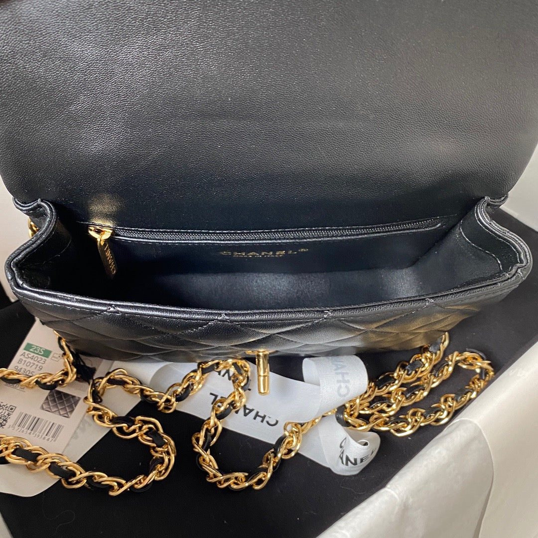 Chanel Bag Top Quality as4023 (LuxluxHouse)