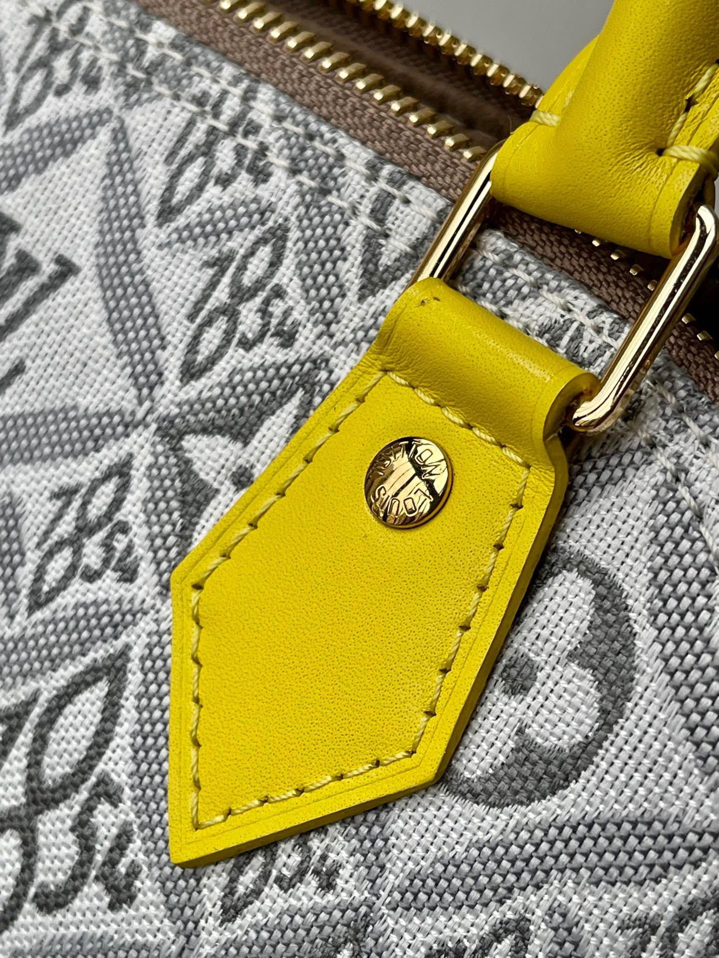 Louis Vuitton Top Bag (LuxluxHouse)