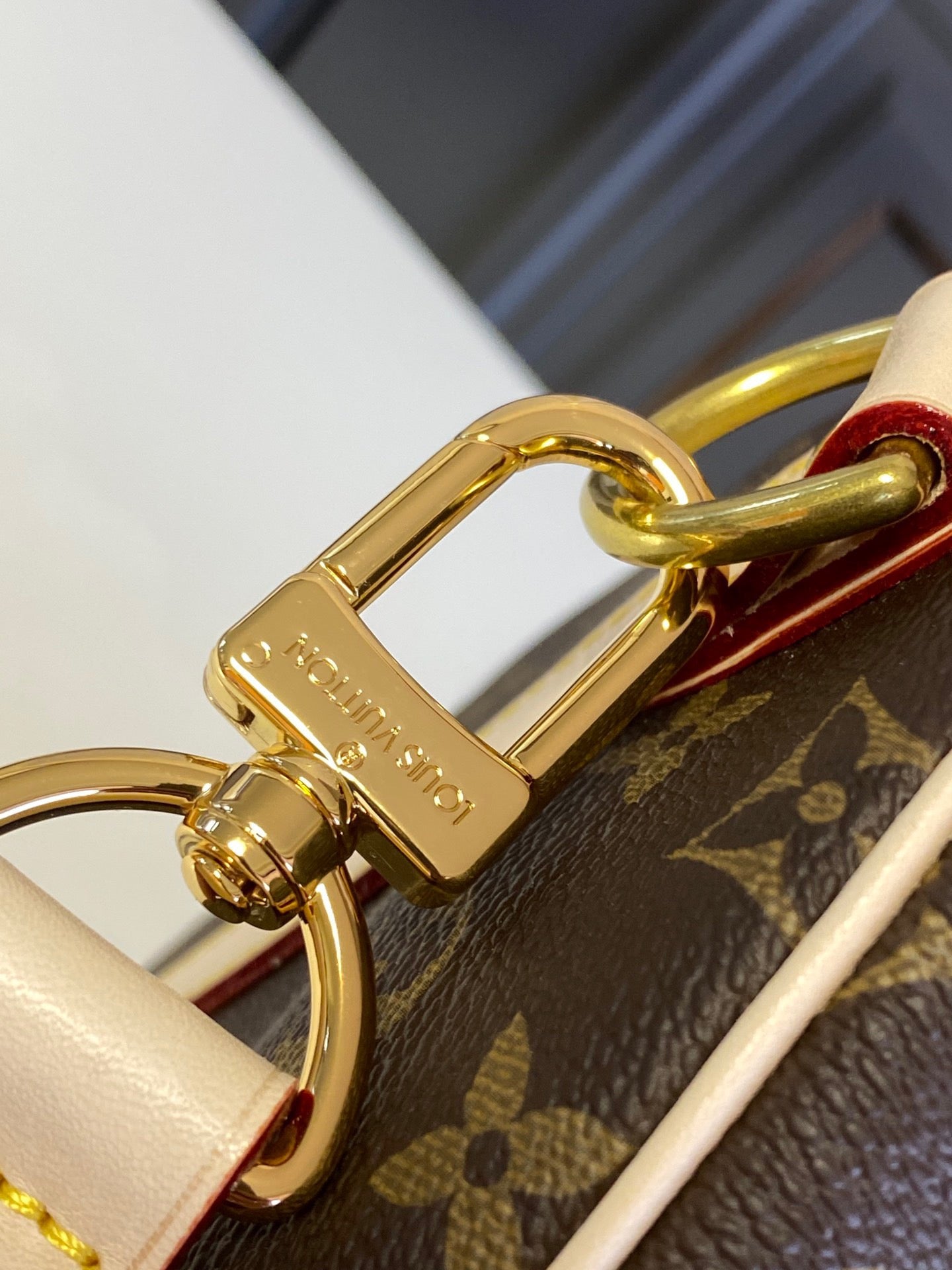 Louis Vuitton Top Bag (LuxluxHouse)