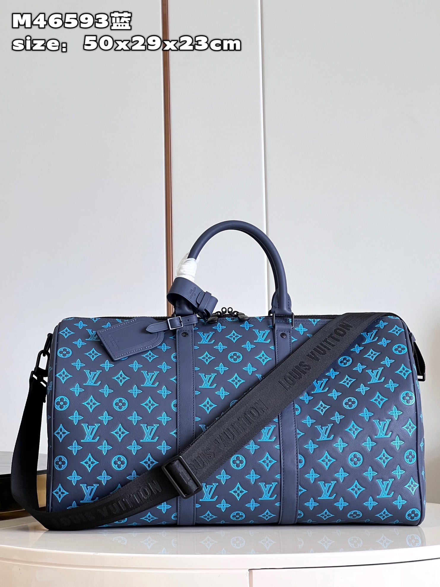 Louis Vuitton Top Bag (LuxluxHouse)