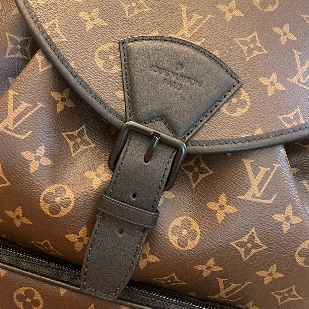 Louis Vuitton Top Bag (LuxluxHouse)