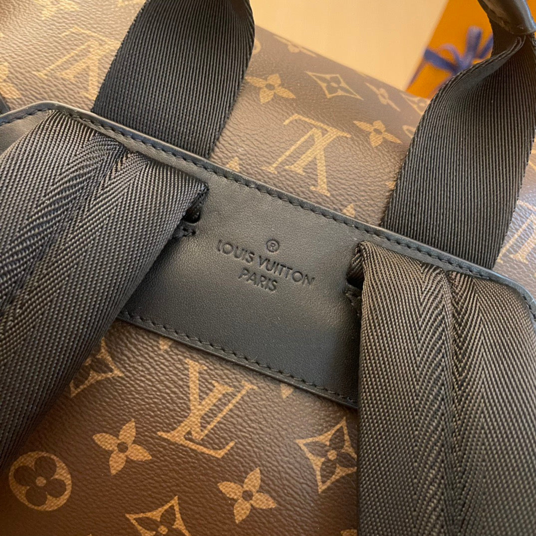 Louis Vuitton Top Bag (LuxluxHouse)