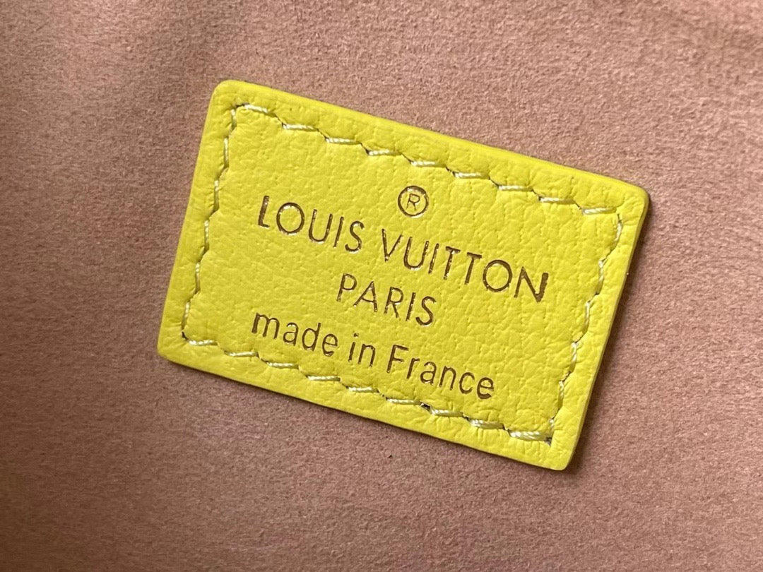 Louis Vuitton Top Bag (LuxluxHouse)