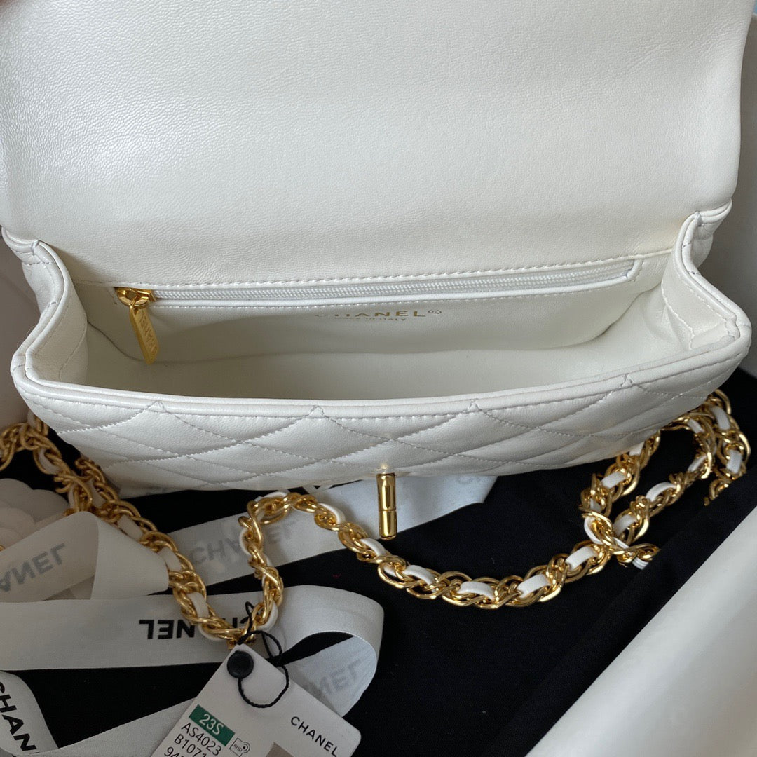 Chanel Bag Top Quality as4023 (LuxluxHouse)