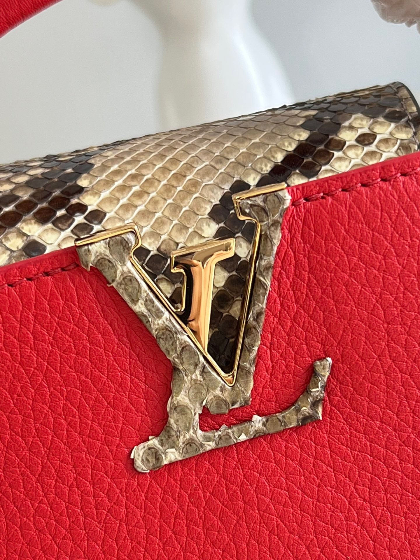 Louis Vuitton Top Bag (LuxluxHouse)