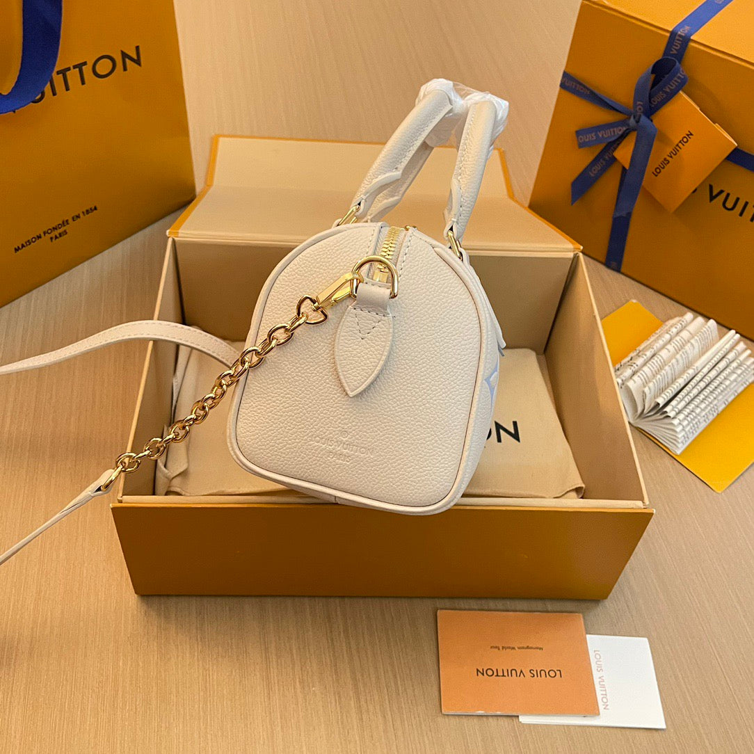 Louis Vuitton Top Bag (LuxluxHouse)