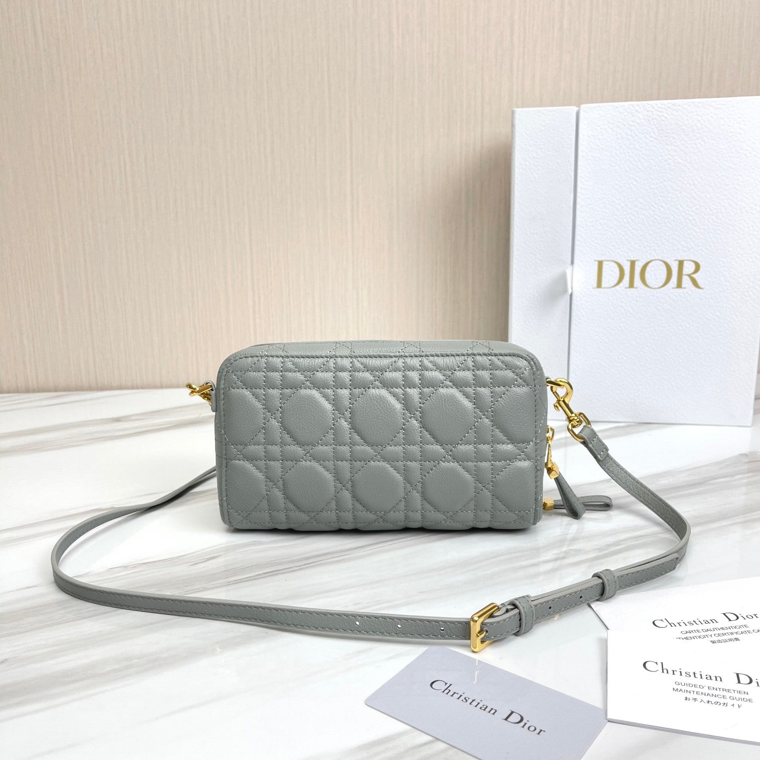 Free shipping LuxluxHouse Dior Top Bag 19*10.5*5cm