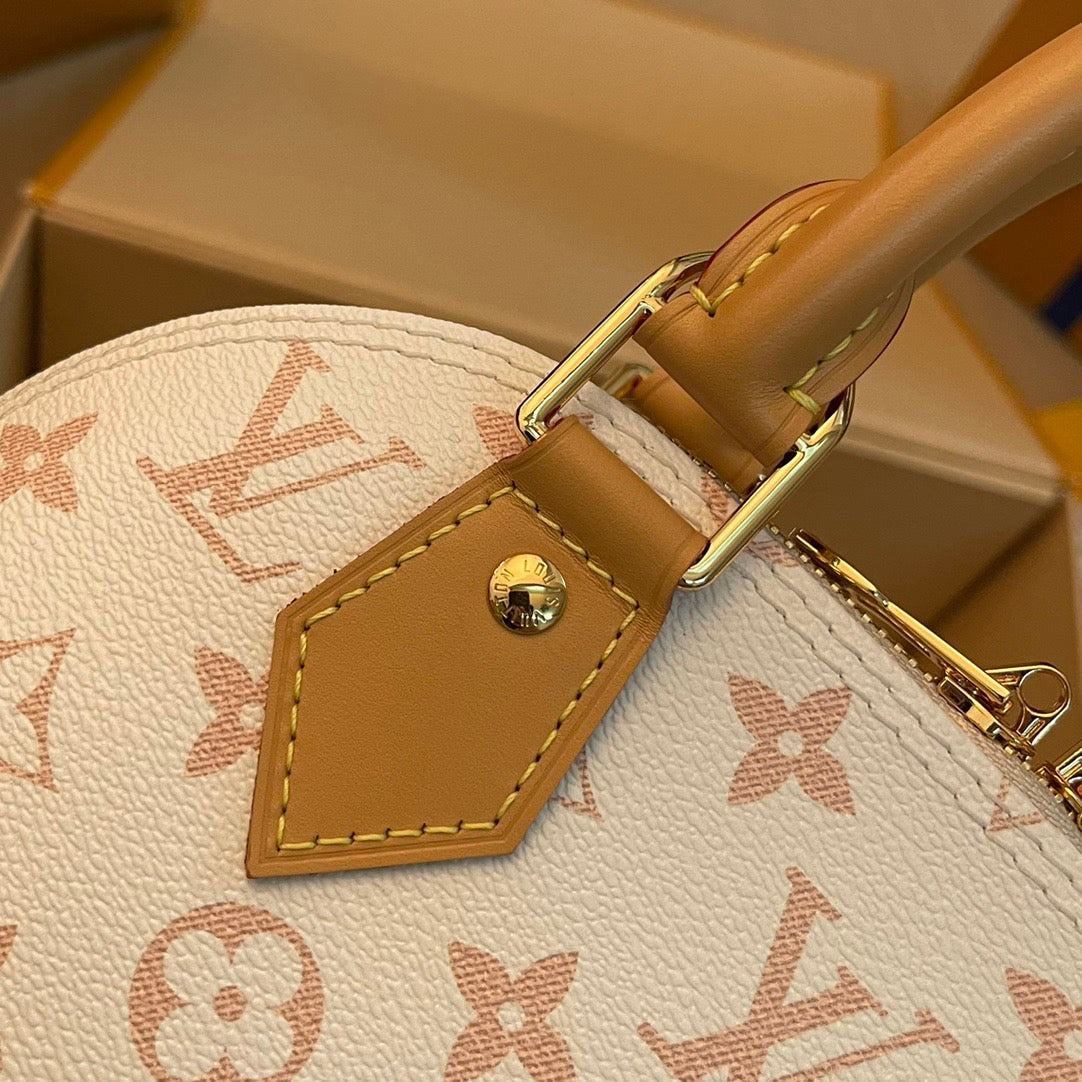 Louis Vuitton Top Bag (LuxluxHouse)