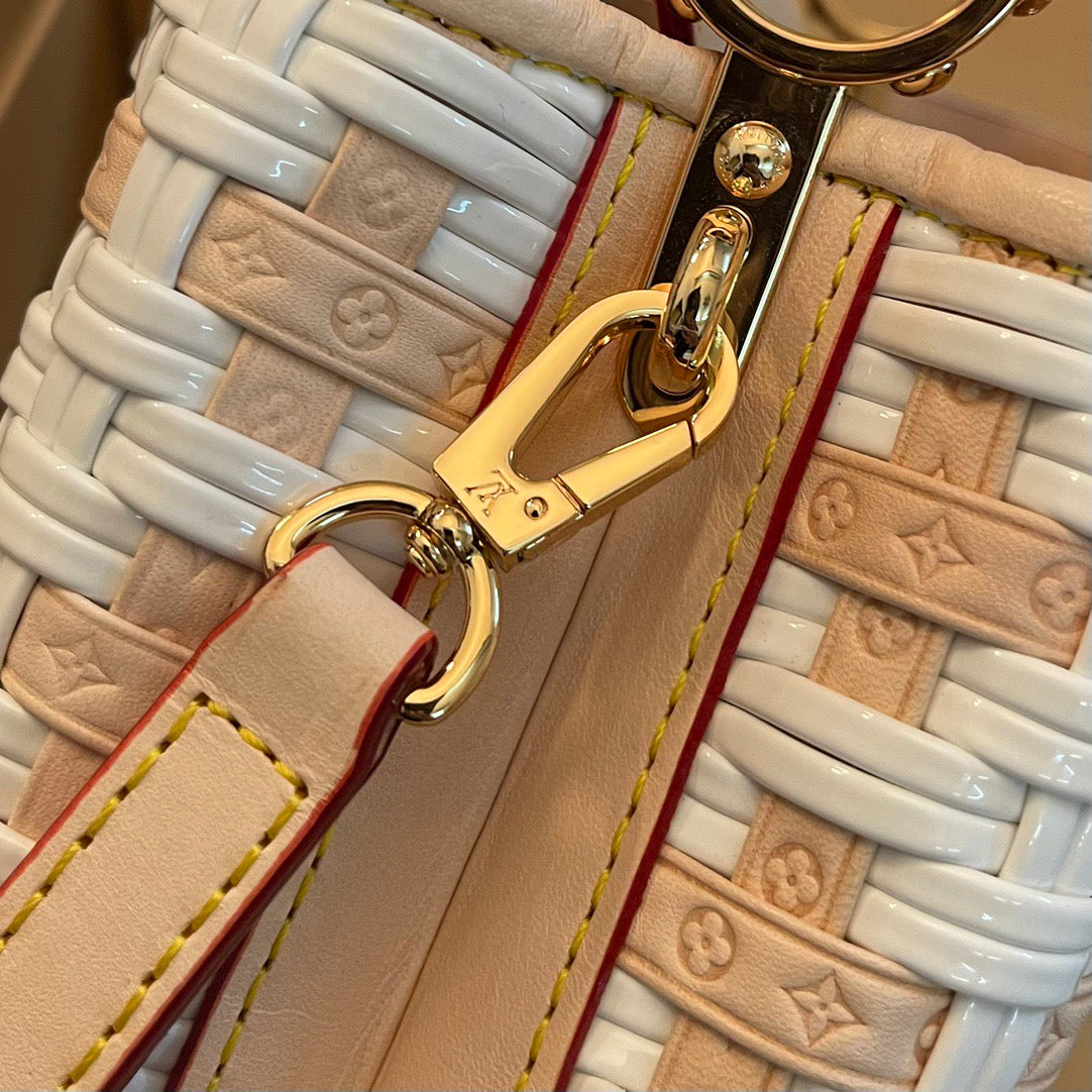 Louis Vuitton Top Bag (LuxluxHouse)