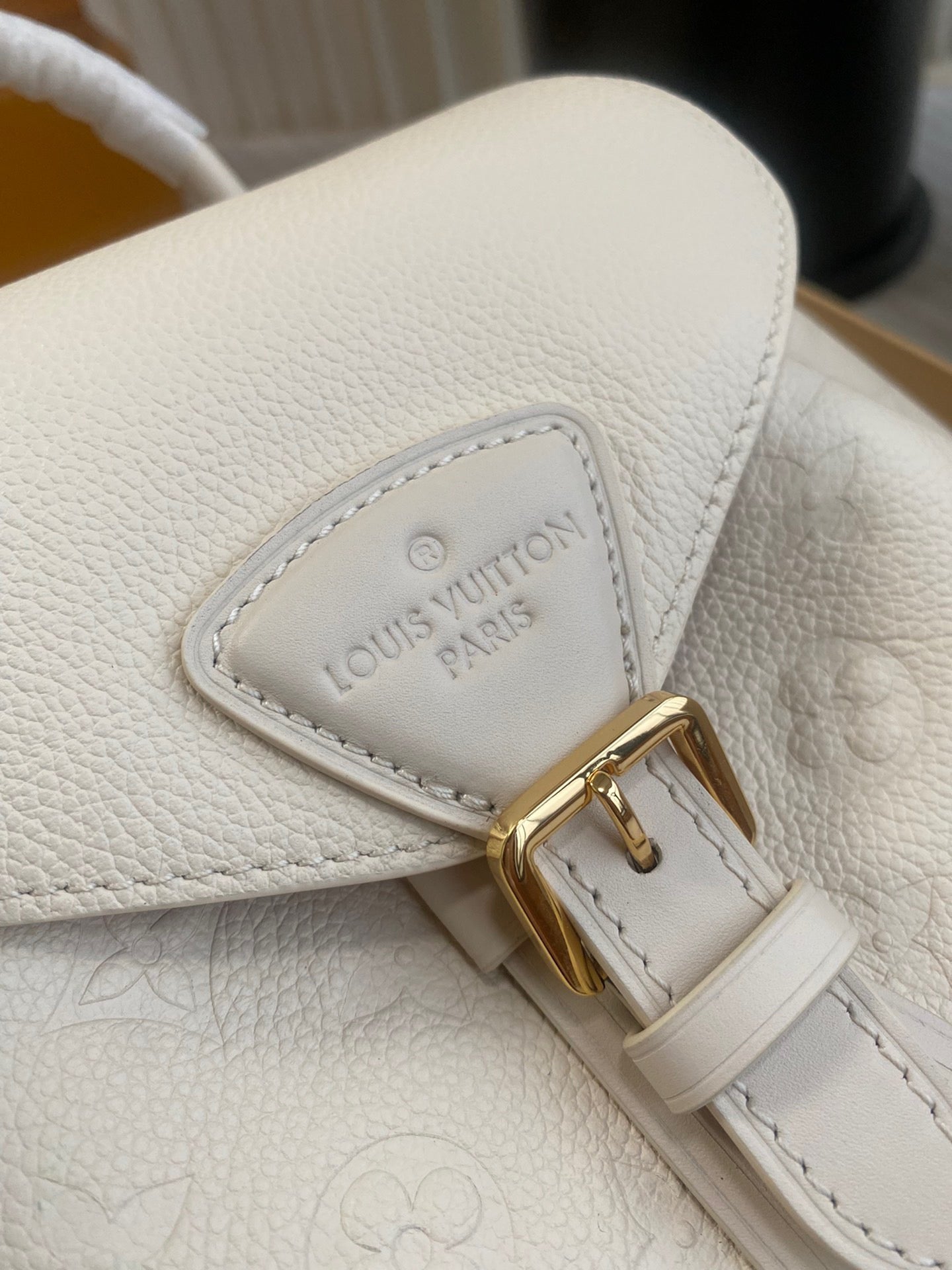 Louis Vuitton Top Bag (LuxluxHouse)