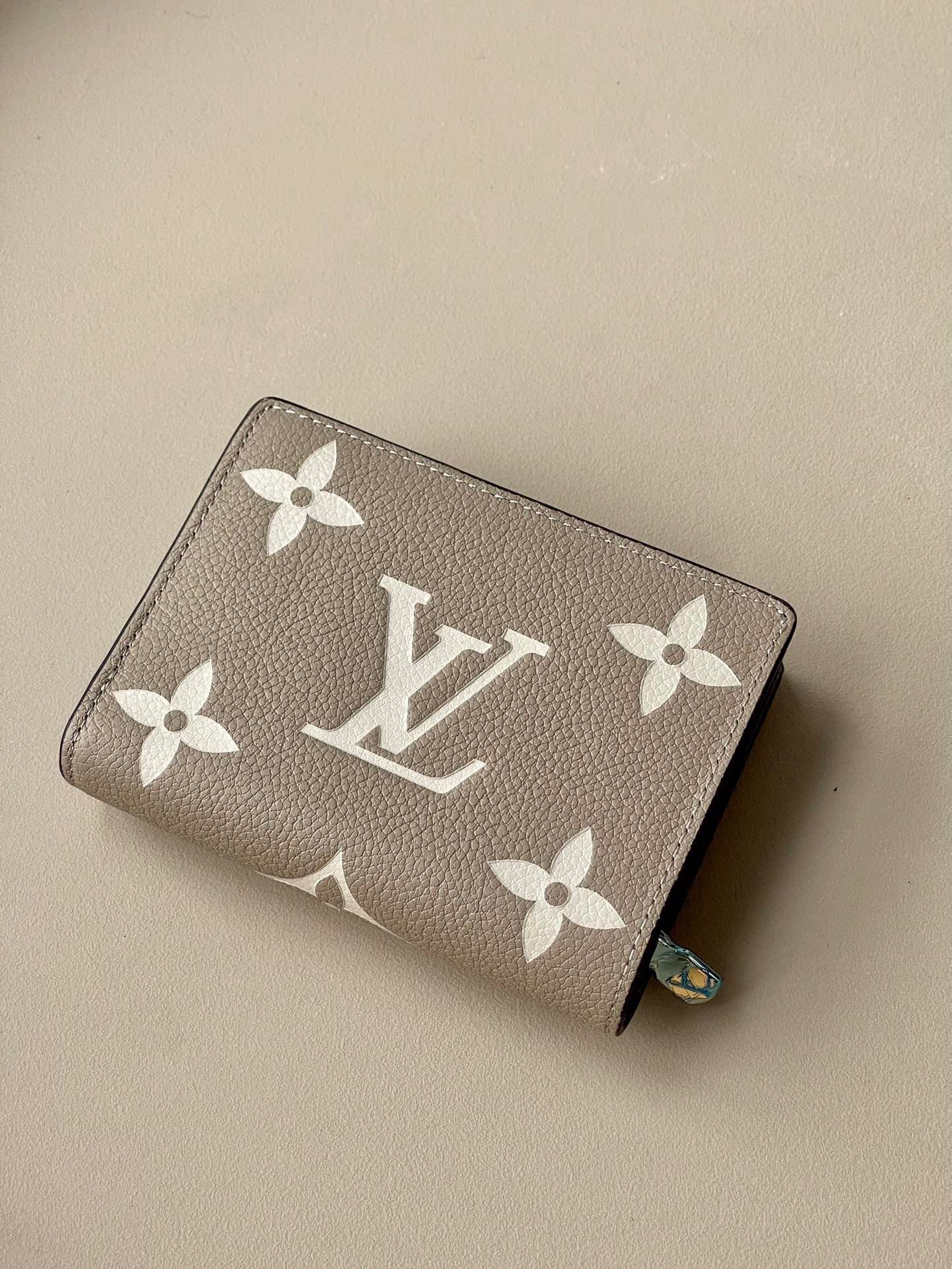 Louis Vuitton Top Bag (LuxluxHouse)