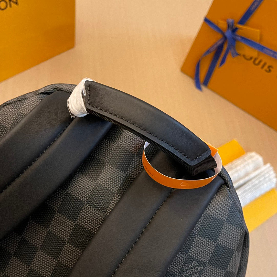 Louis Vuitton Top Bag (LuxluxHouse)