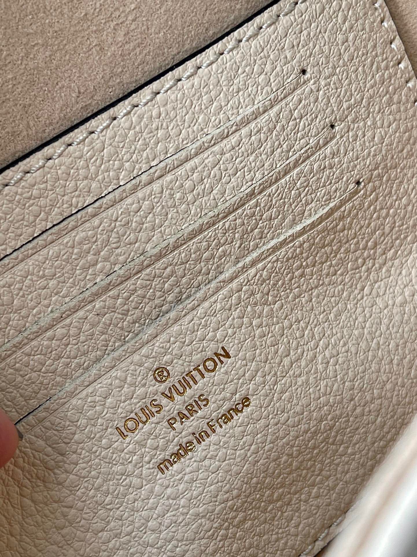 Louis Vuitton Top Bag (LuxluxHouse)