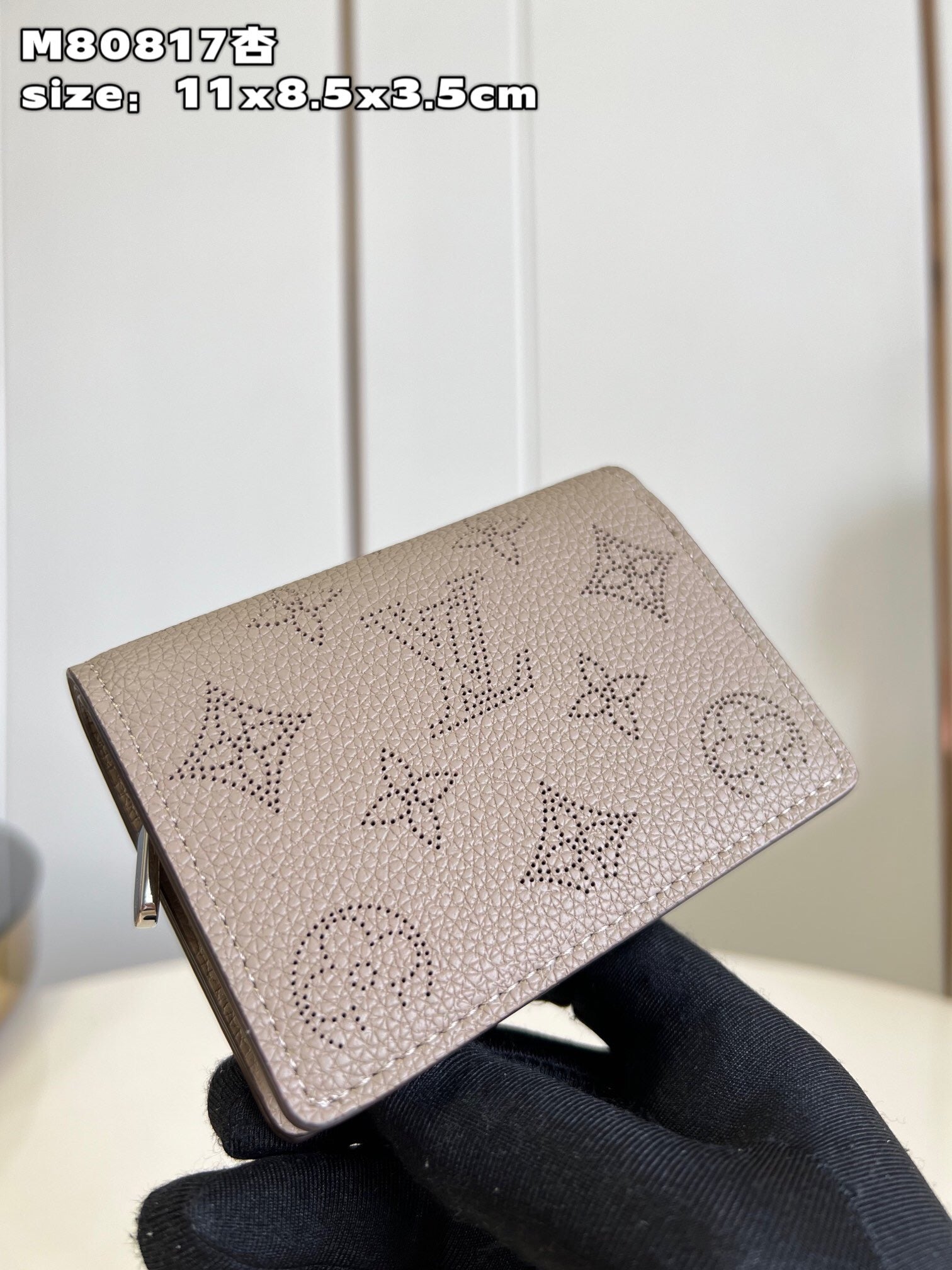 Louis Vuitton Top Bag (LuxluxHouse)