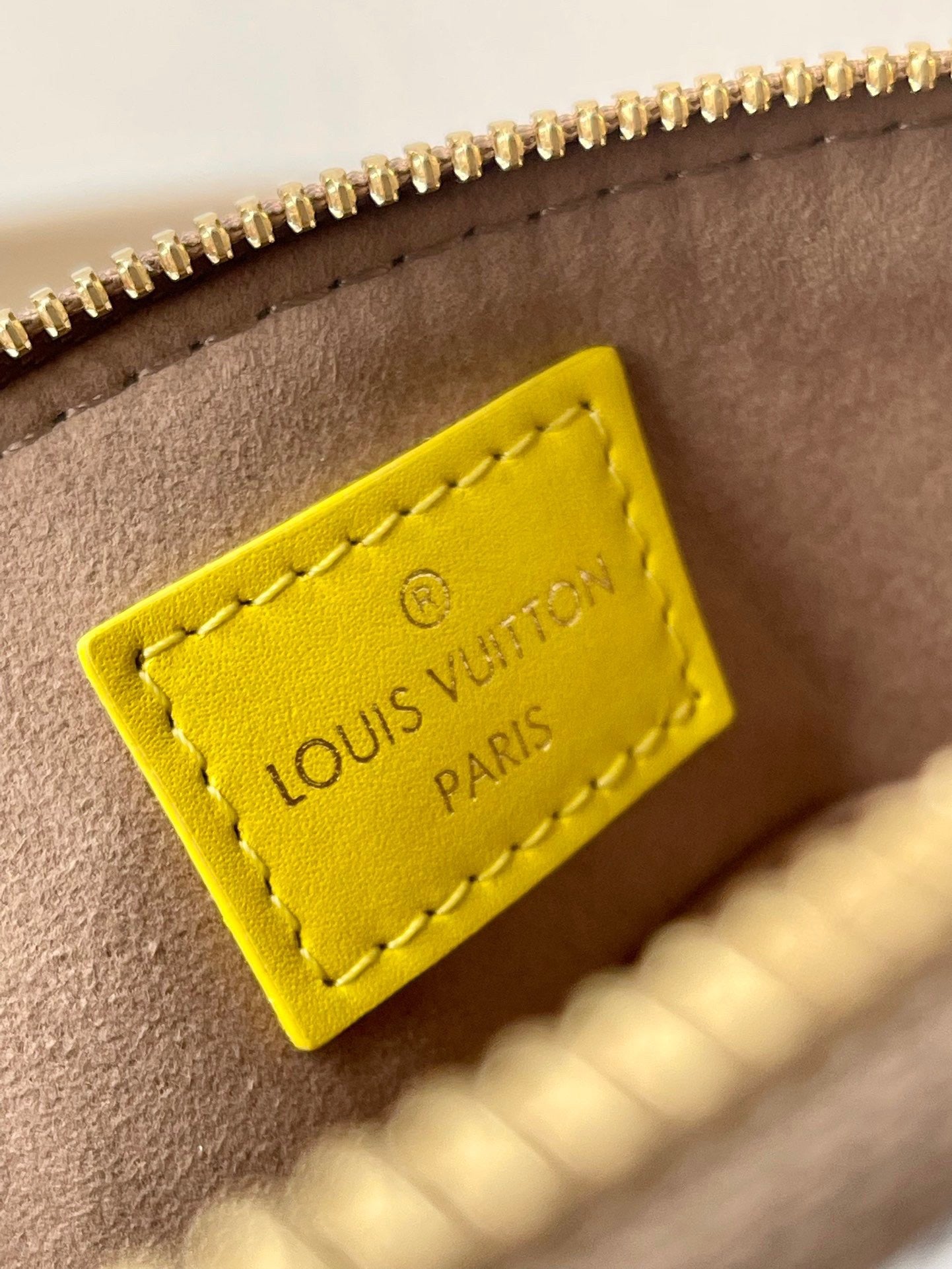 Louis Vuitton Top Bag (LuxluxHouse)