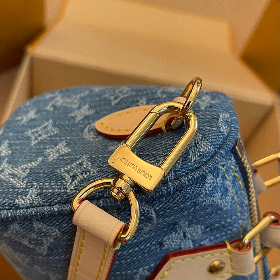 Louis Vuitton Top Bag (LuxluxHouse)