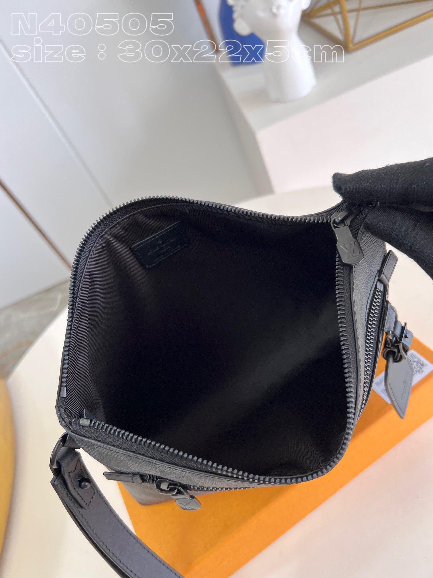 Louis Vuitton Top Bag (LuxluxHouse)