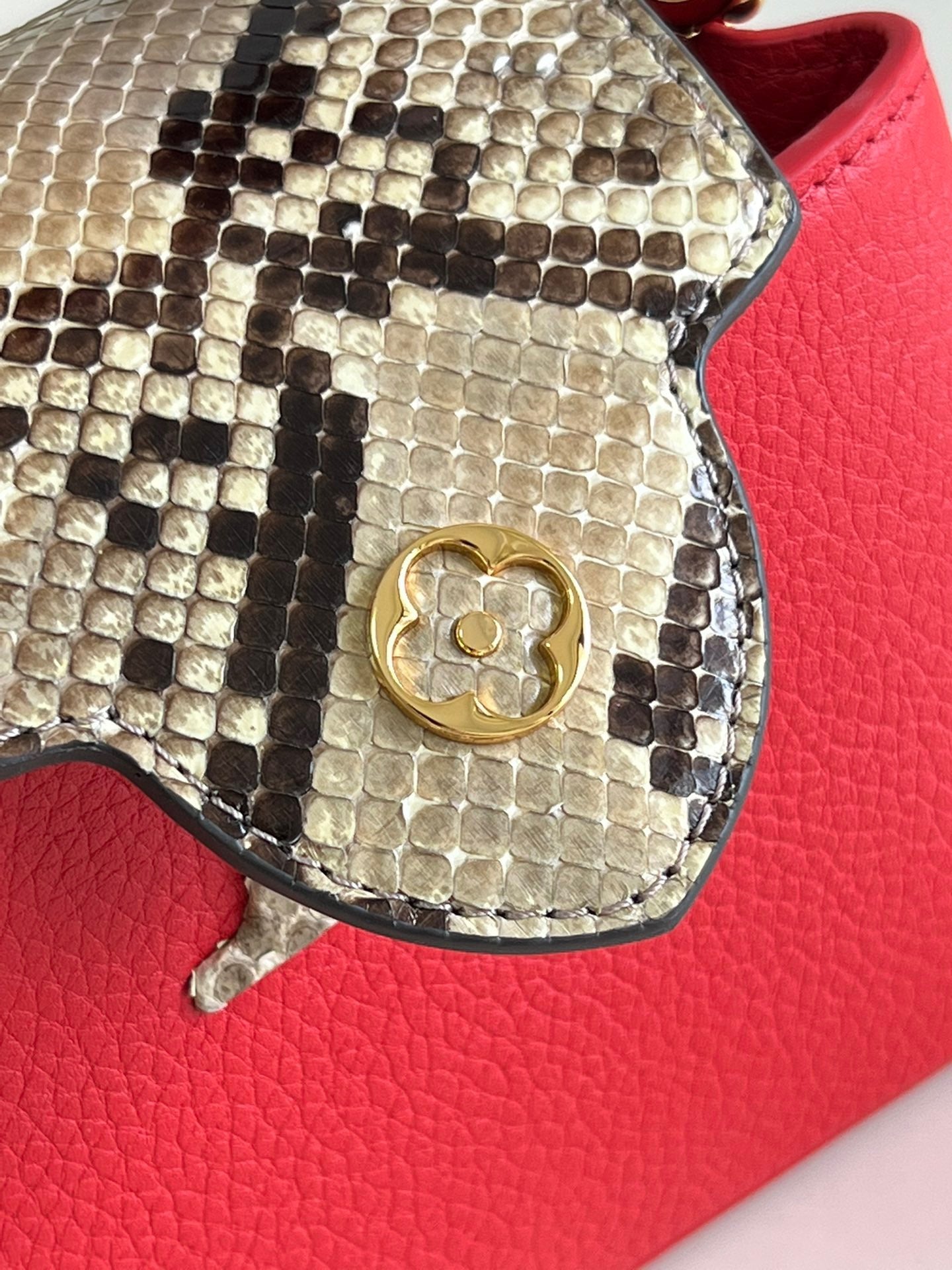 Louis Vuitton Top Bag (LuxluxHouse)