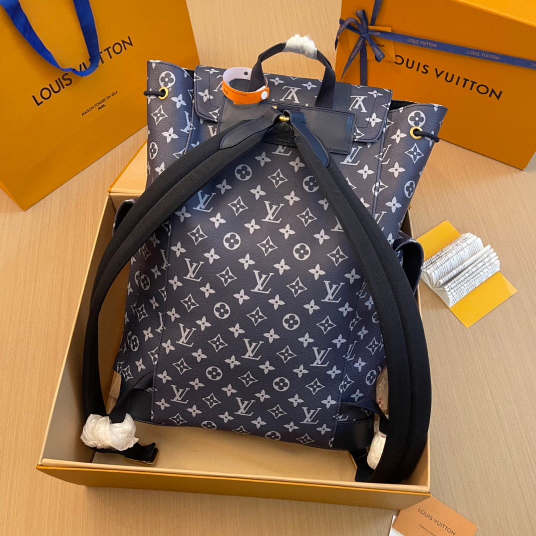 Louis Vuitton Top Bag (LuxluxHouse)