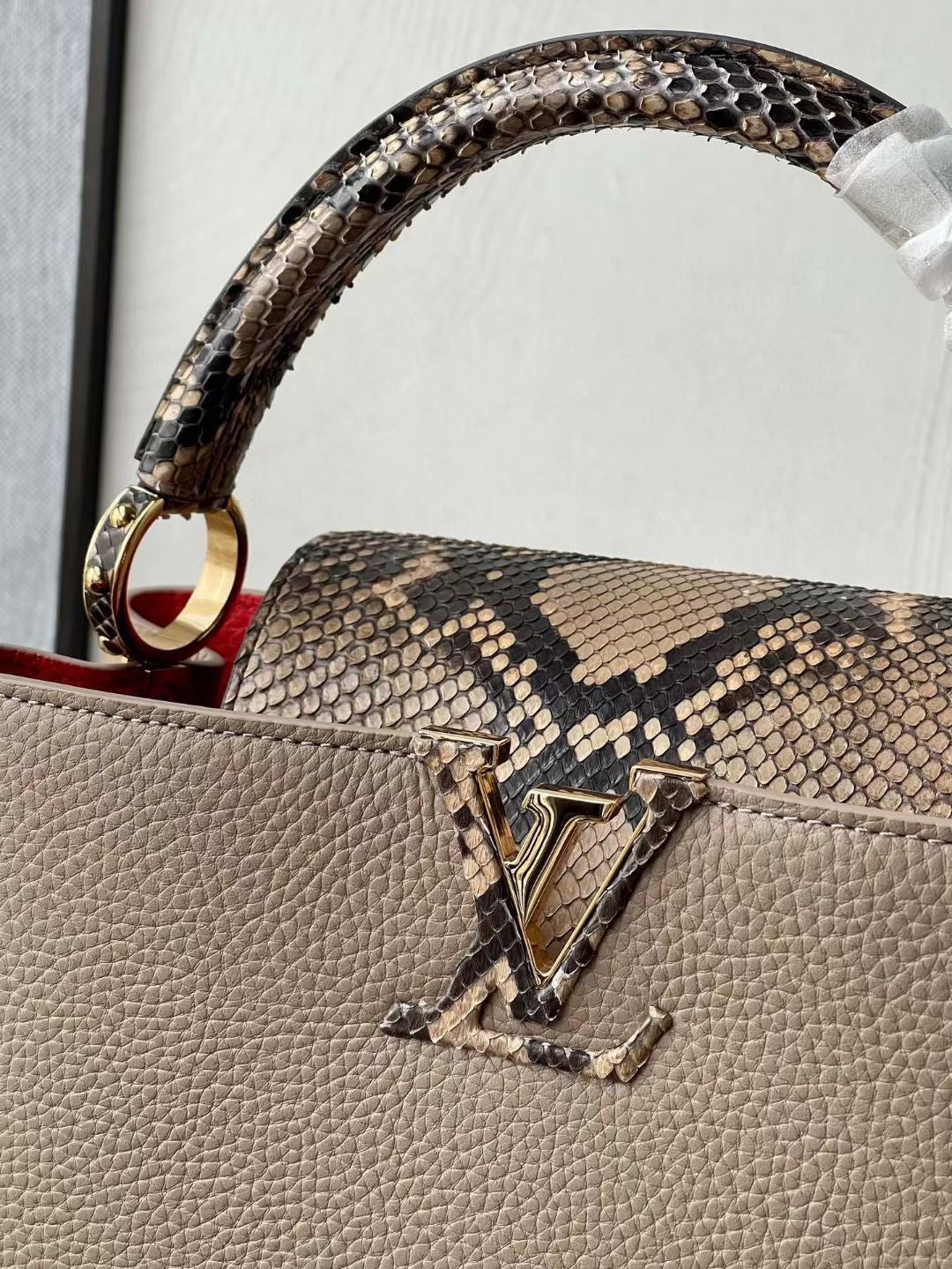 Louis Vuitton Top Bag (LuxluxHouse)