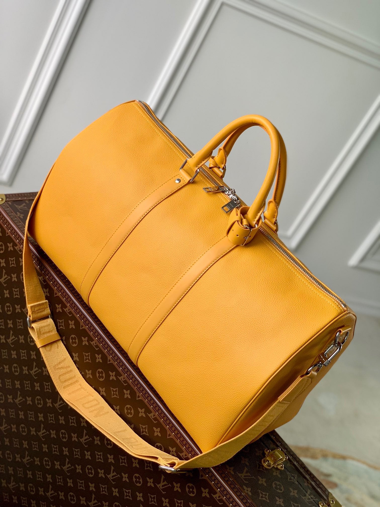 Louis Vuitton Top Bag (LuxluxHouse)